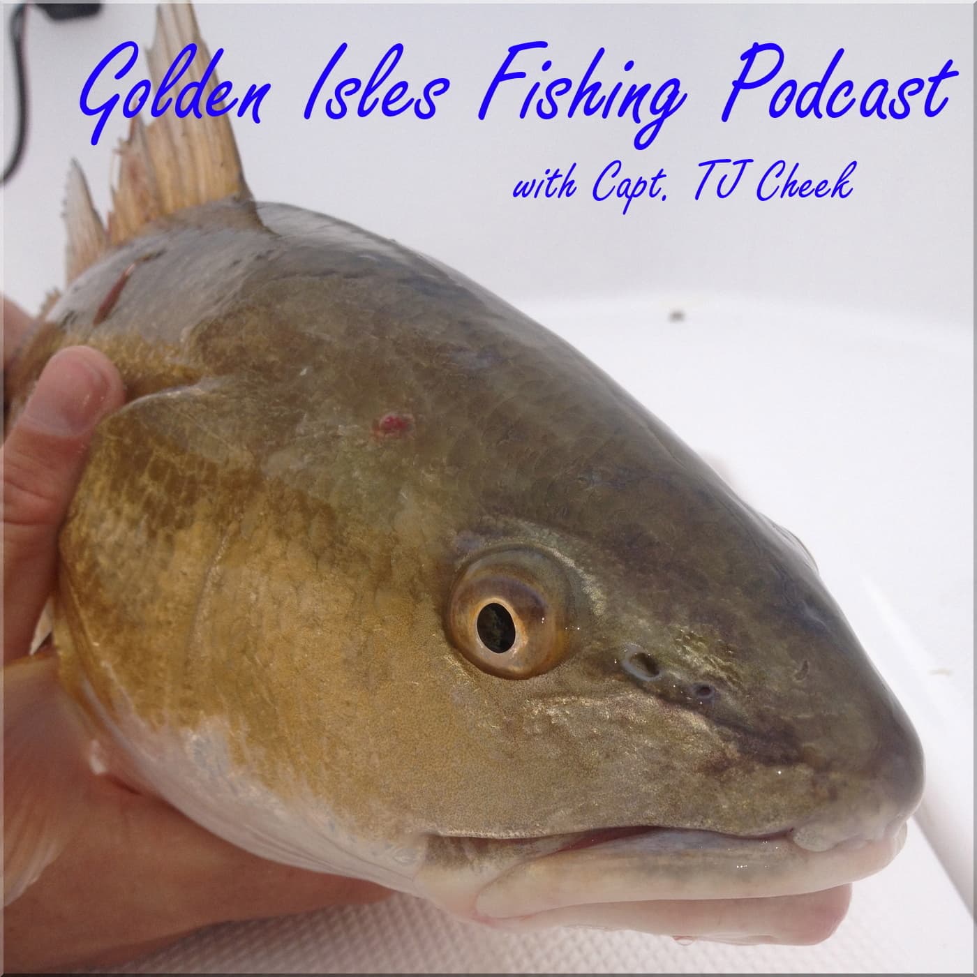 Golden Isles Fishing Podcast - Podcasts