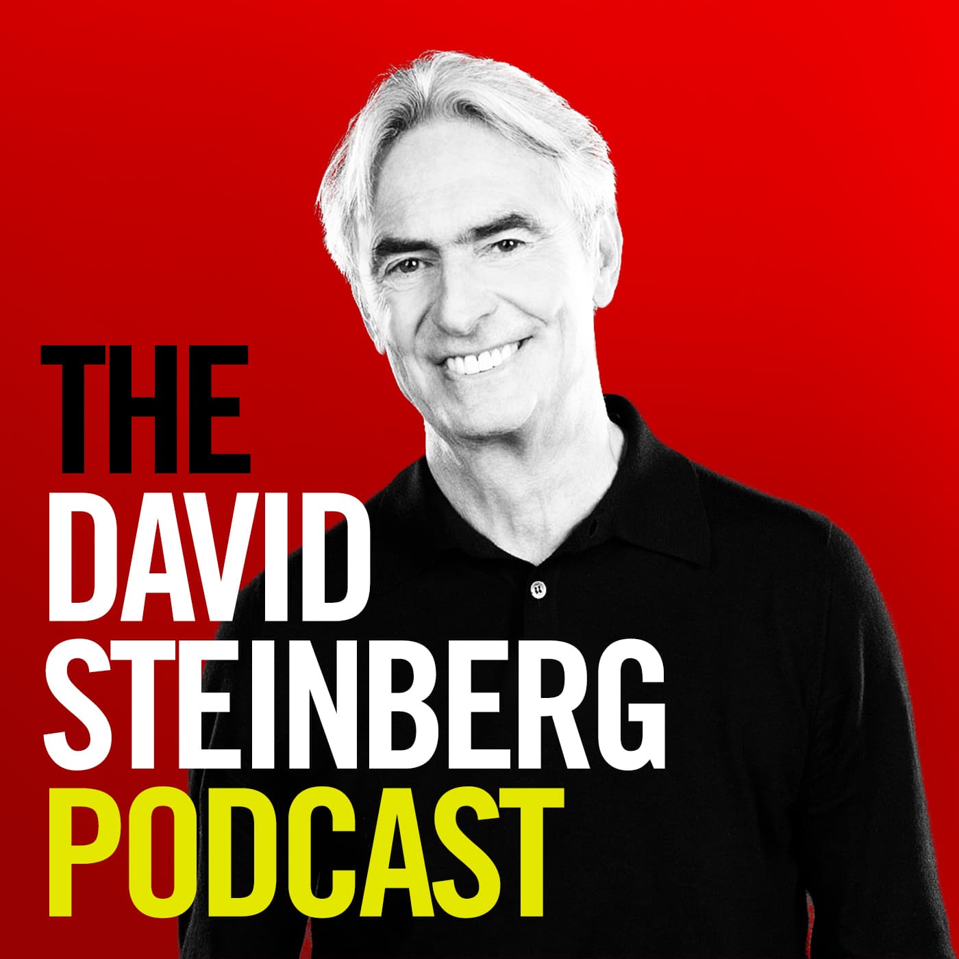 The David Steinberg Podcast - Podcasts