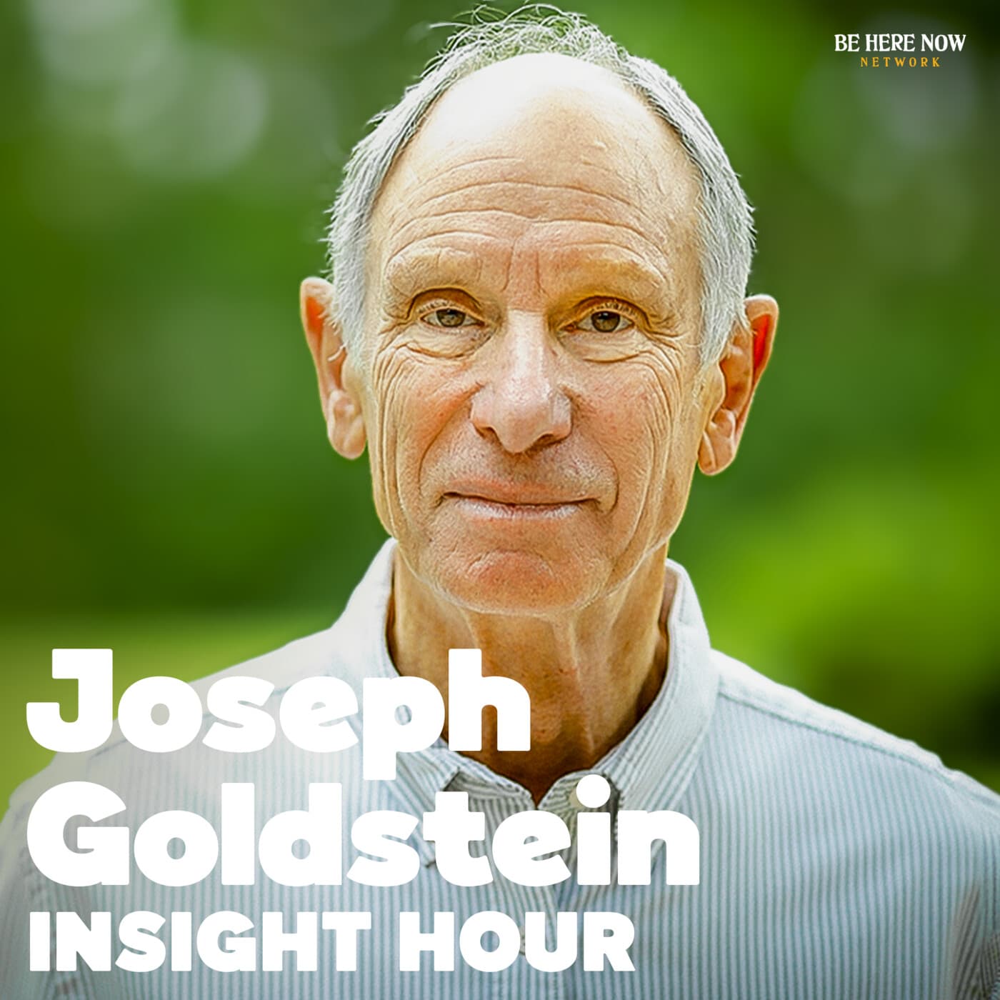 Insight Hour with Joseph Goldstein - Podcasts