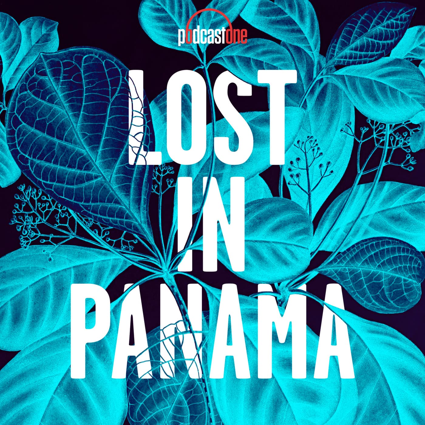 Lost In Panama - Podcasts