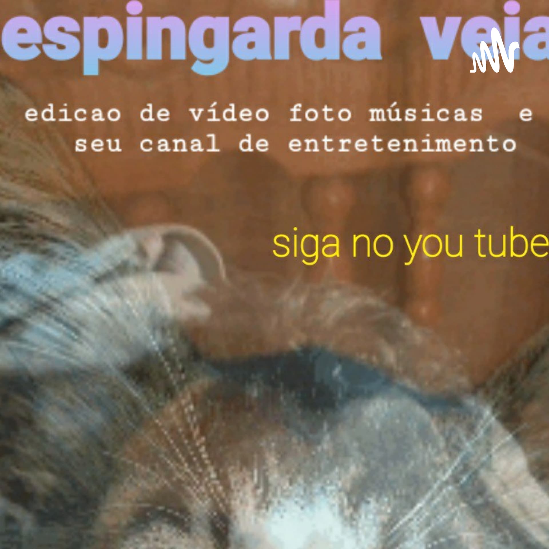 espingarda veia