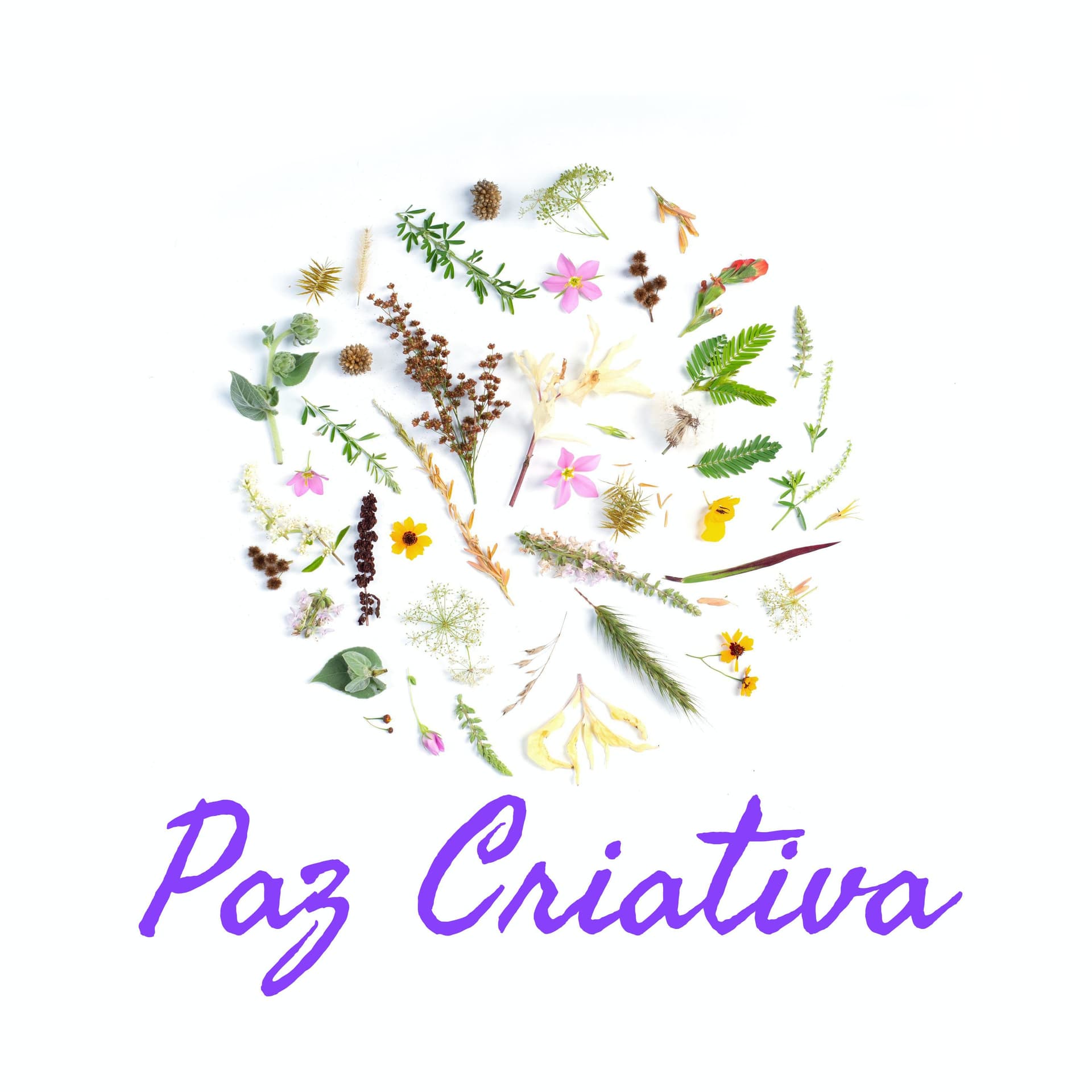 Paz Criativa por Márcia Nascente - Podcasts