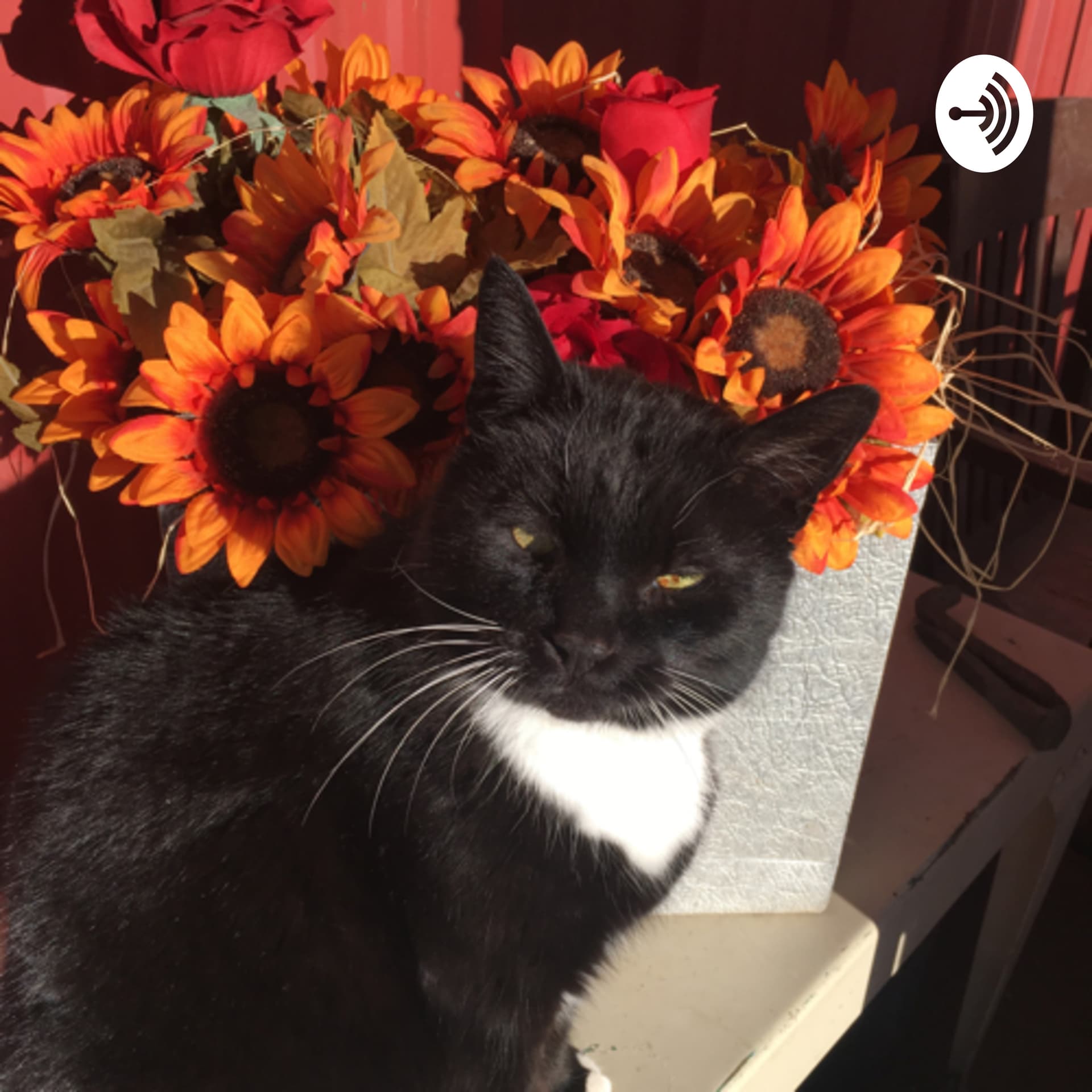 Whistling Dixie Farms - Podcasts