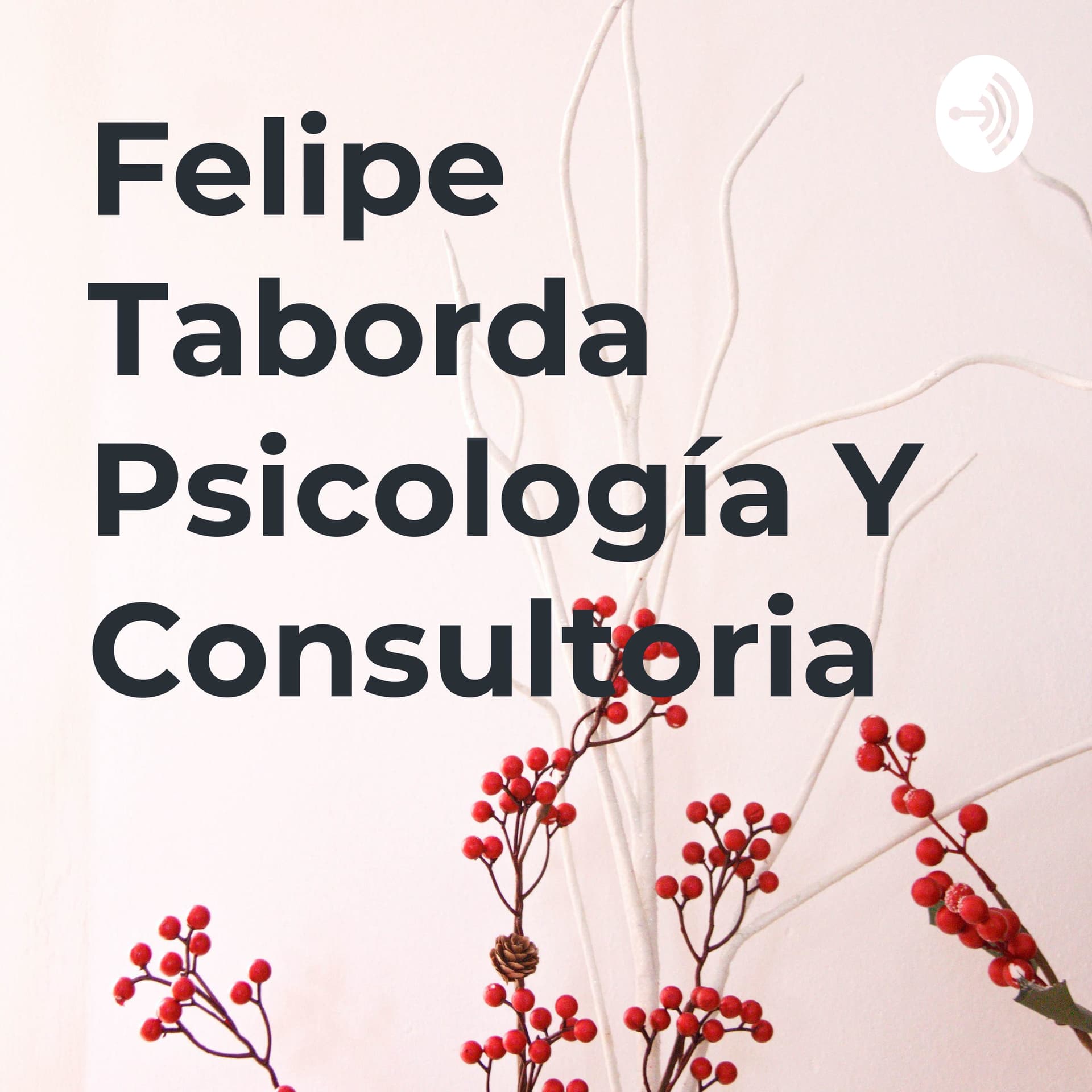 Felipe Taborda Psicología Y Consultoria - Podcasts