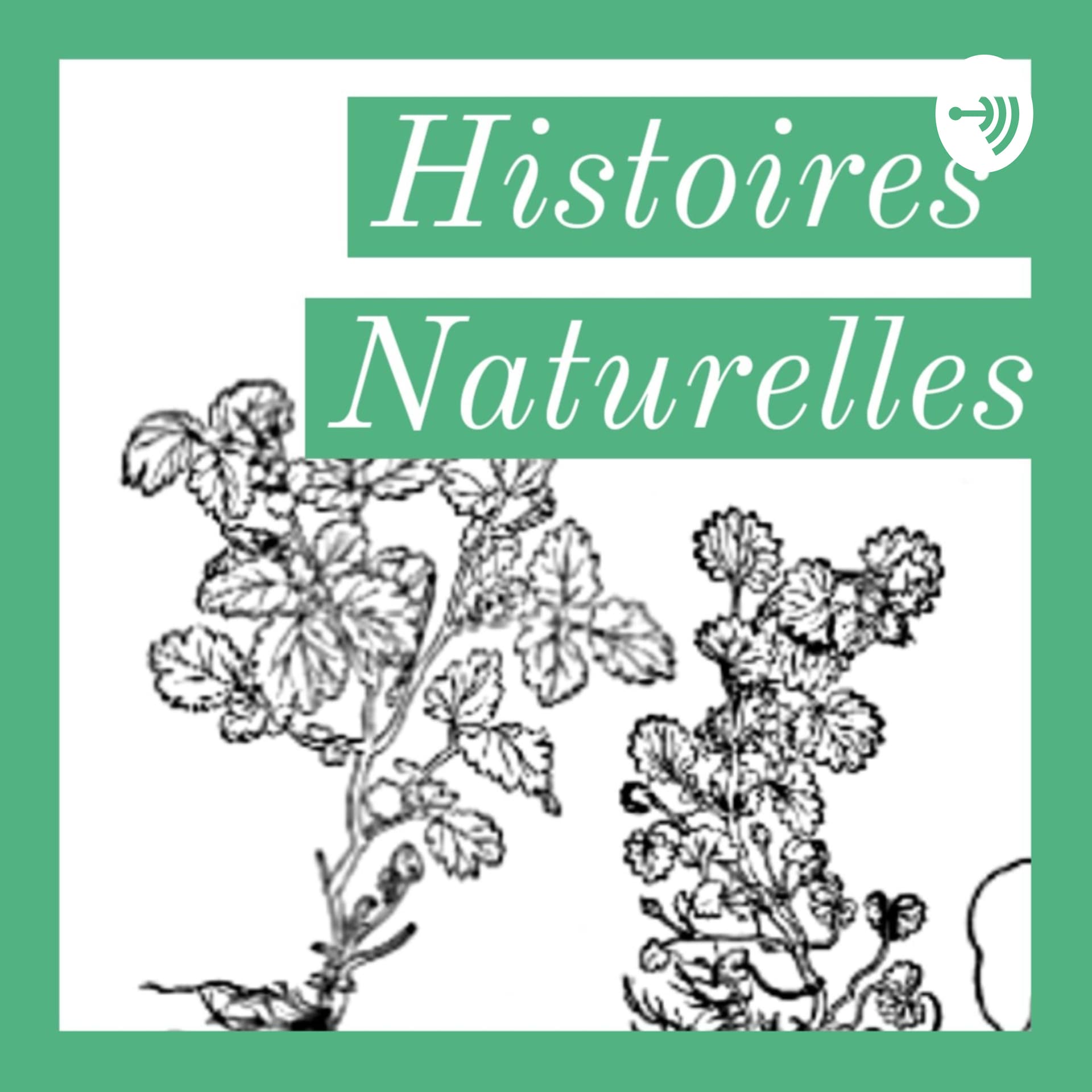 Histoires Naturelles - Podcasts