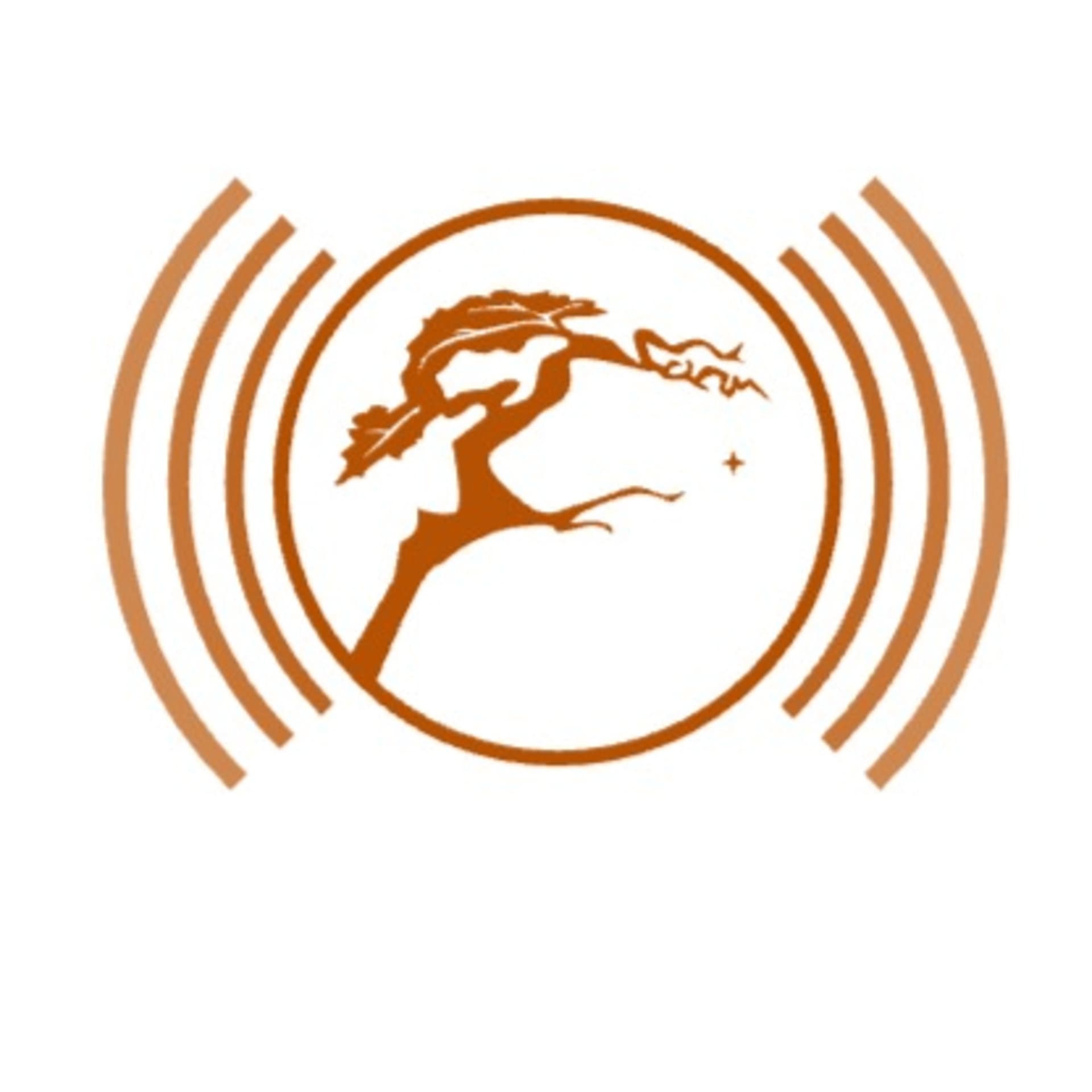 Stichting Filosofie en Meditatie - Podcasts