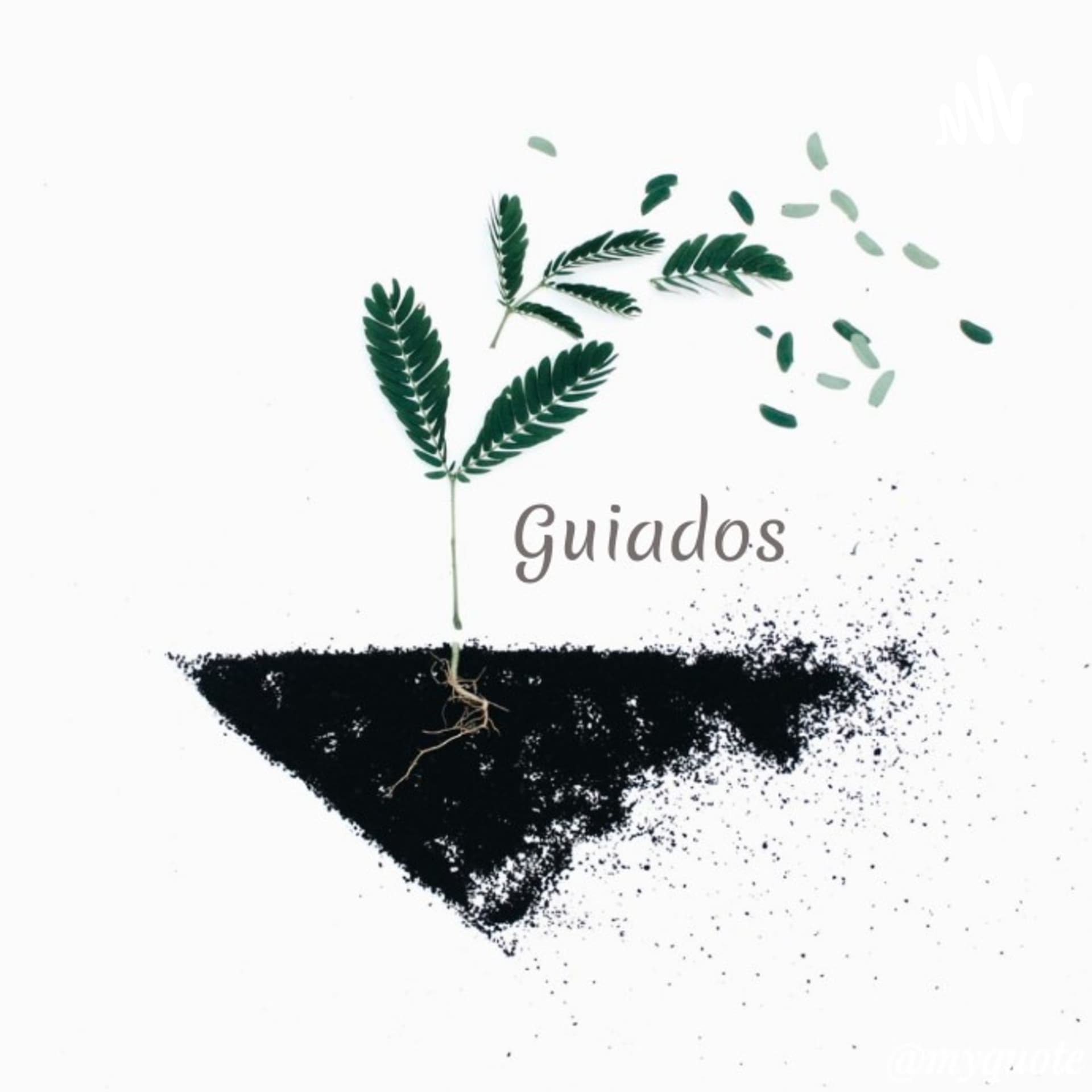 Guiados - Podcasts