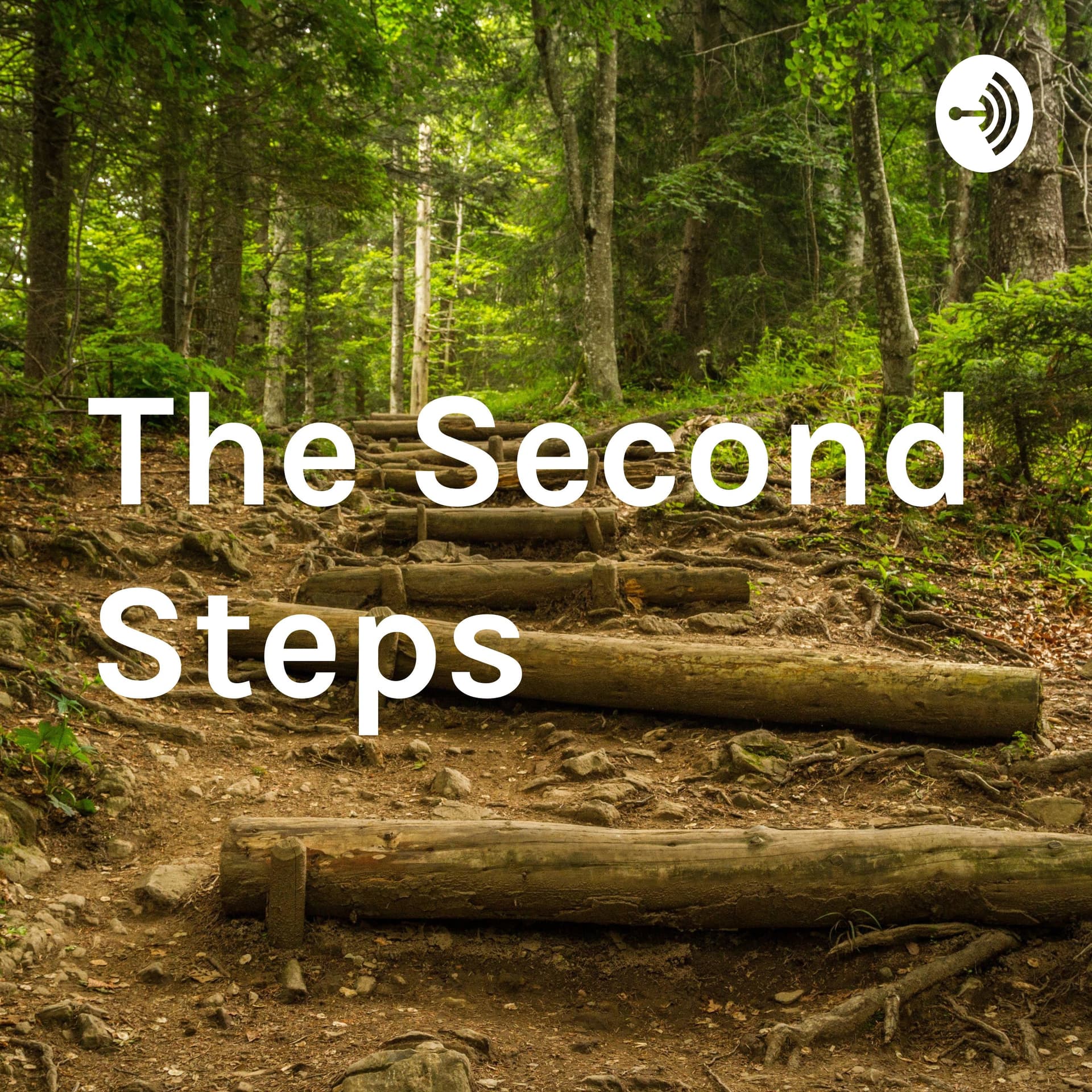 The Second Steps; How to get unstuck and achieve your goals! - Podcasts