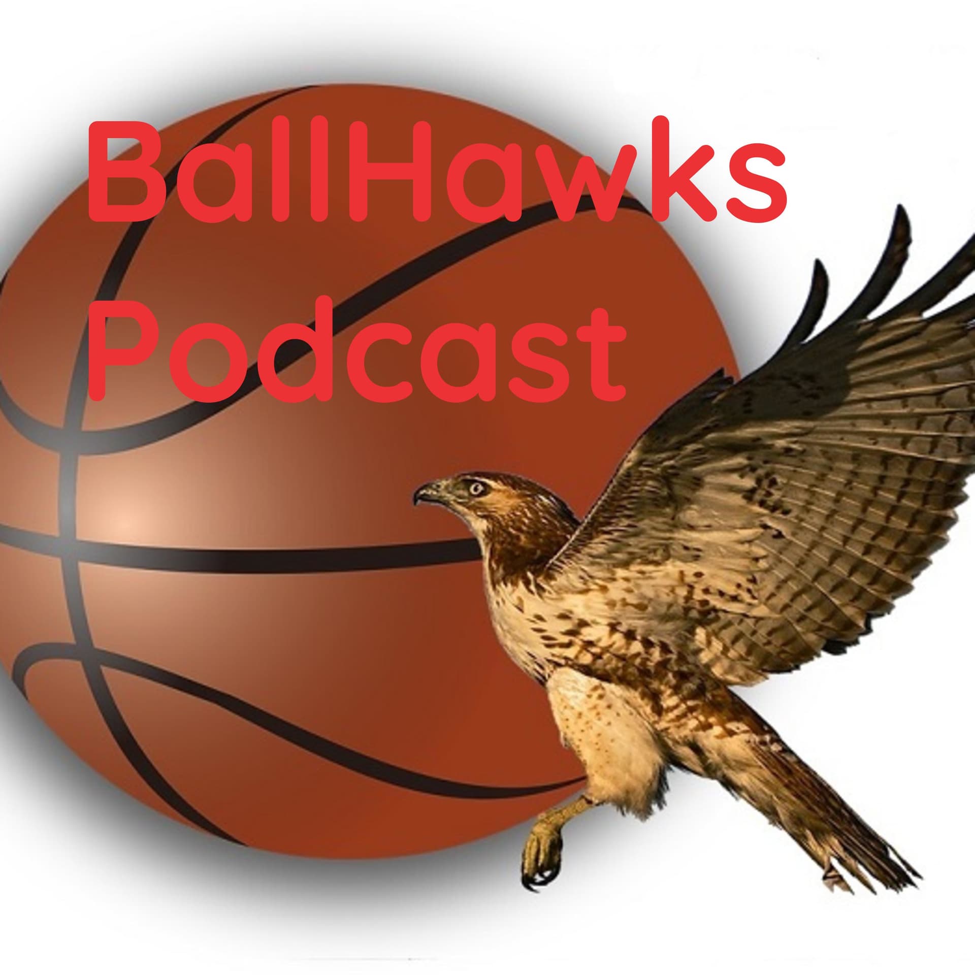 BallHawks: An Atlanta Hawks Podcast - Podcasts