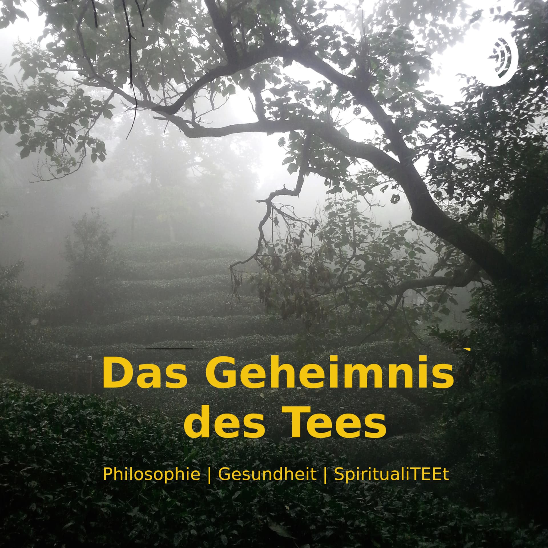 Das Geheimnis des Tees - Podcasts