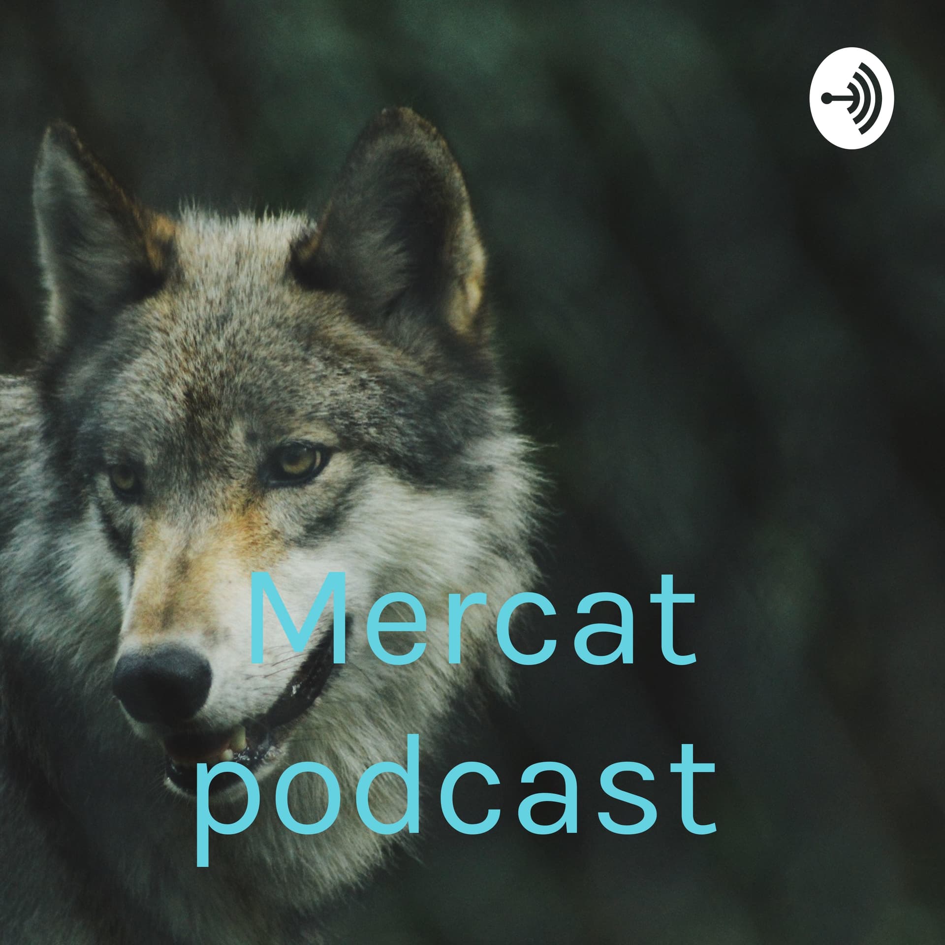 Mercat podcast - Podcasts