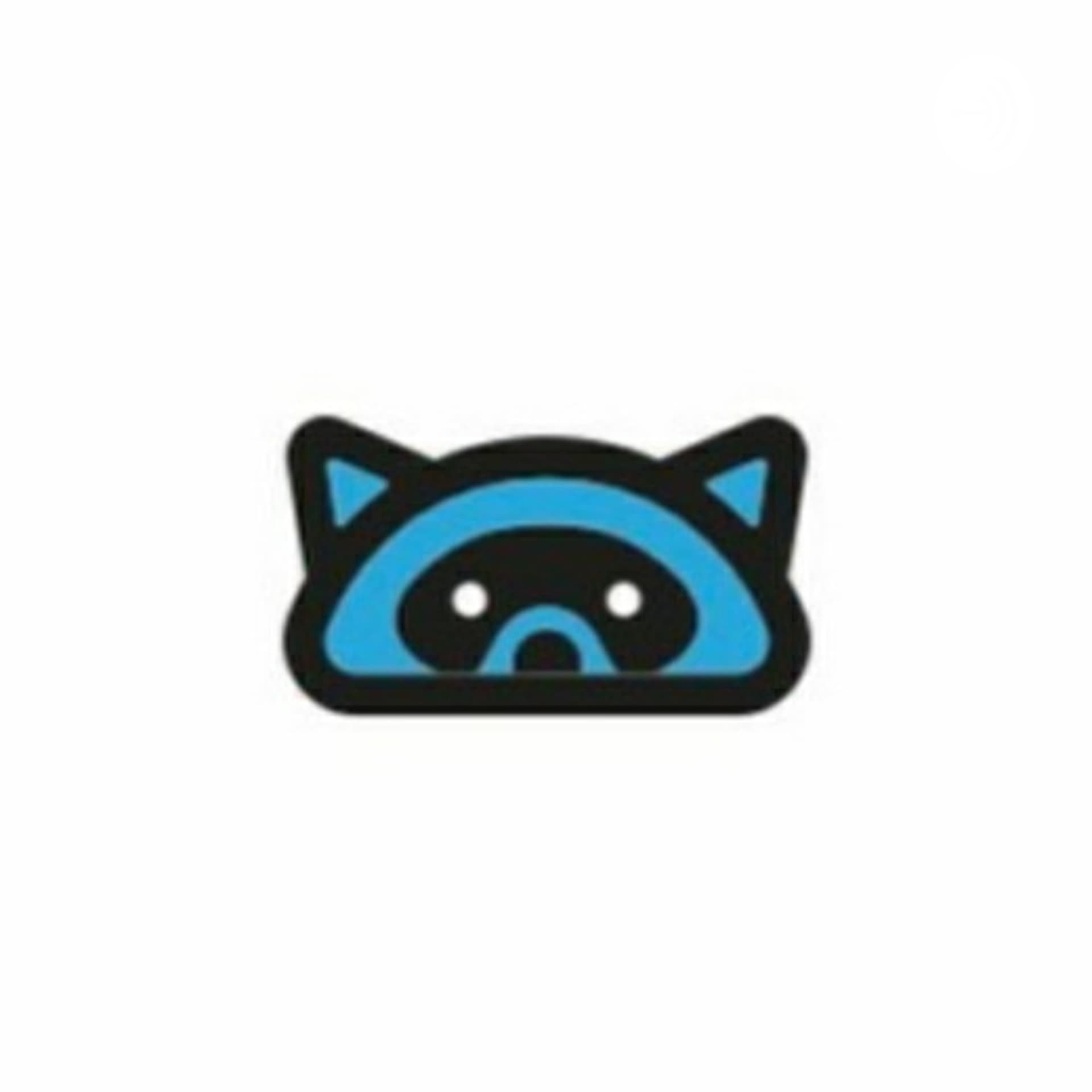 The Racoon - Podcasts