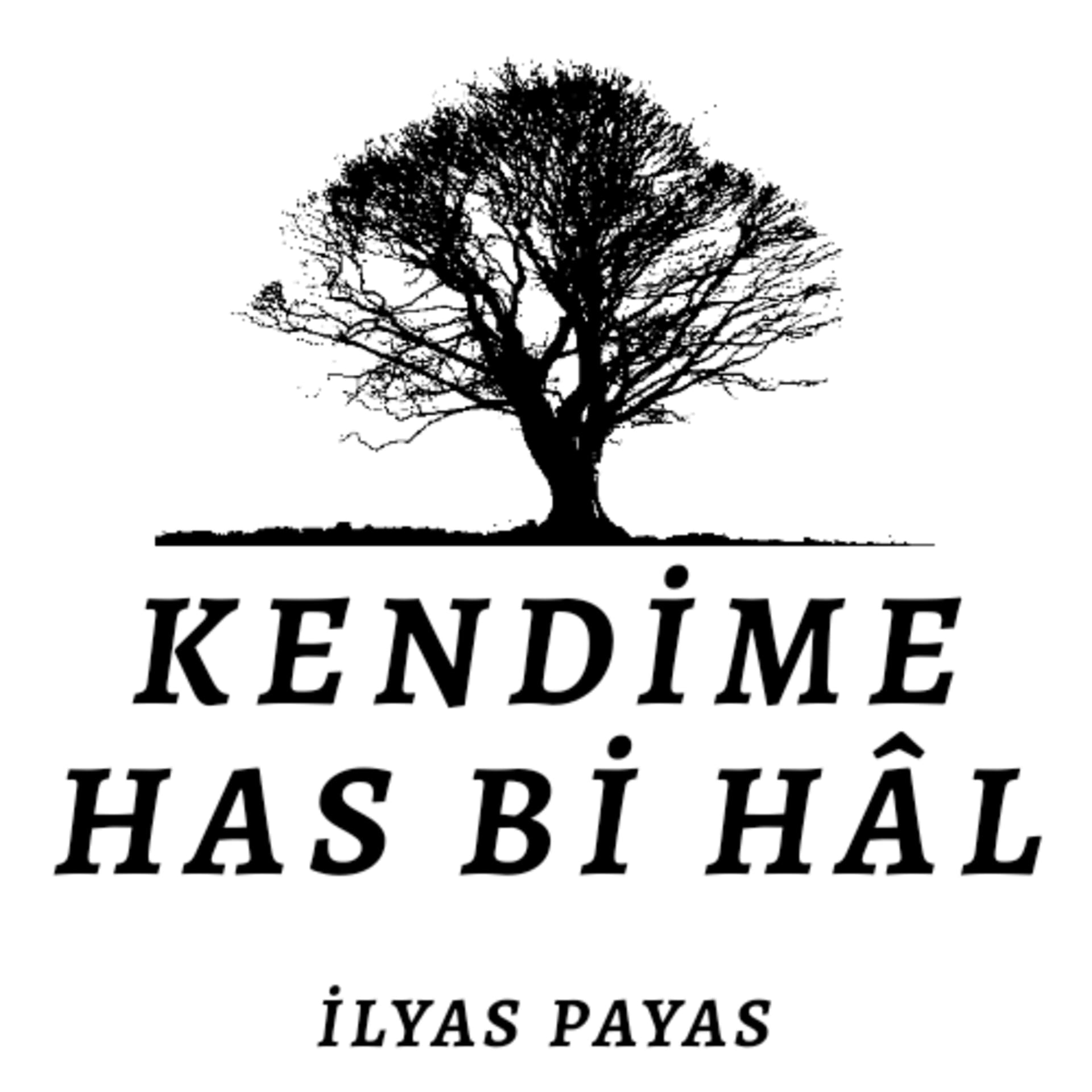 İlyas Payas