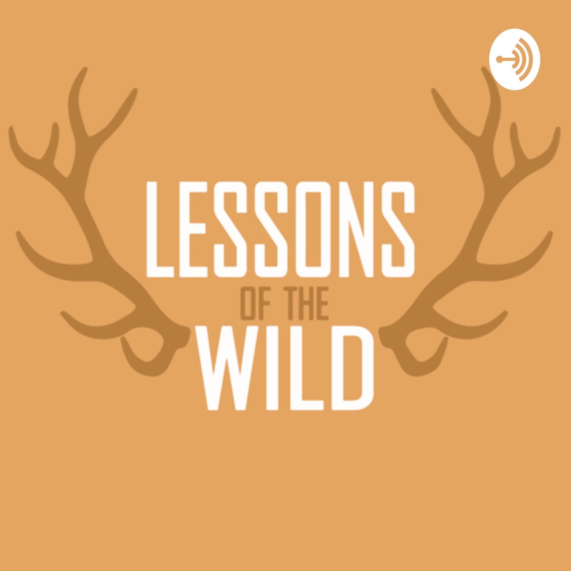 Lessons of the Wild - Подкасты