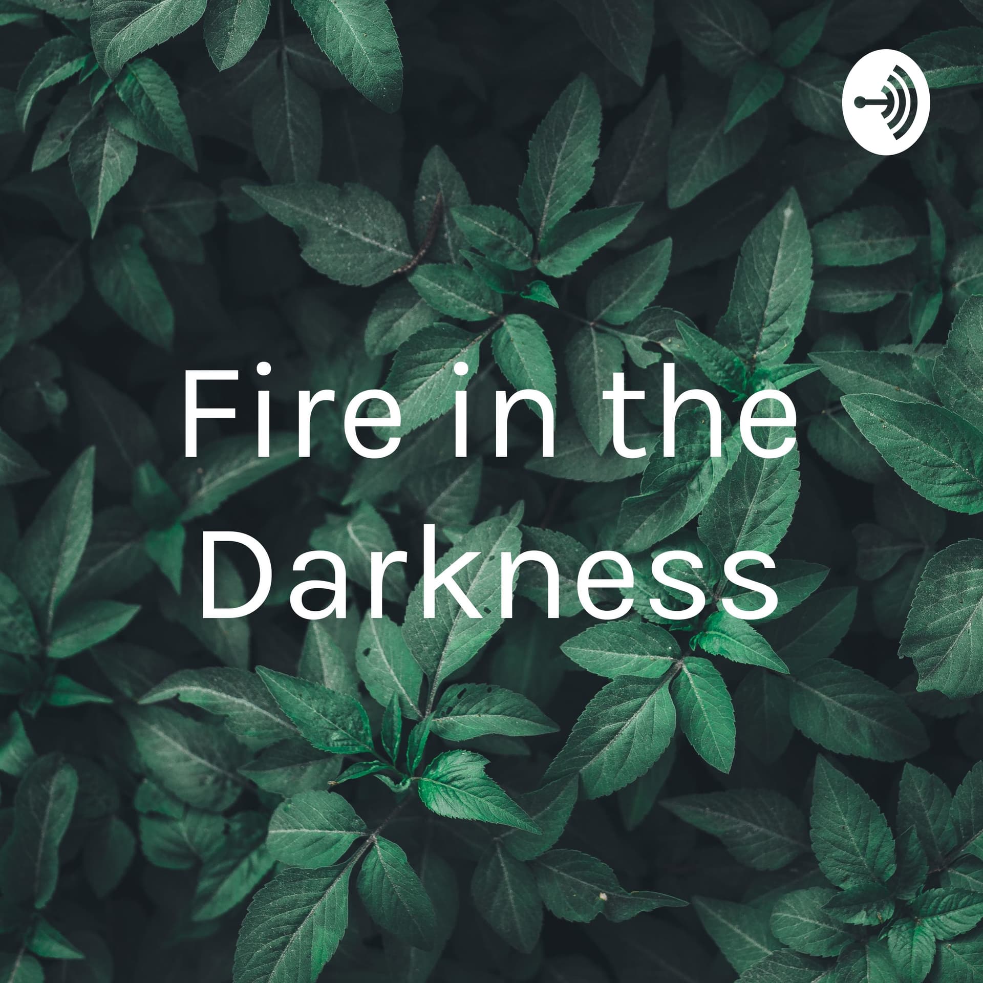 Fire in the Darkness - Podcasts