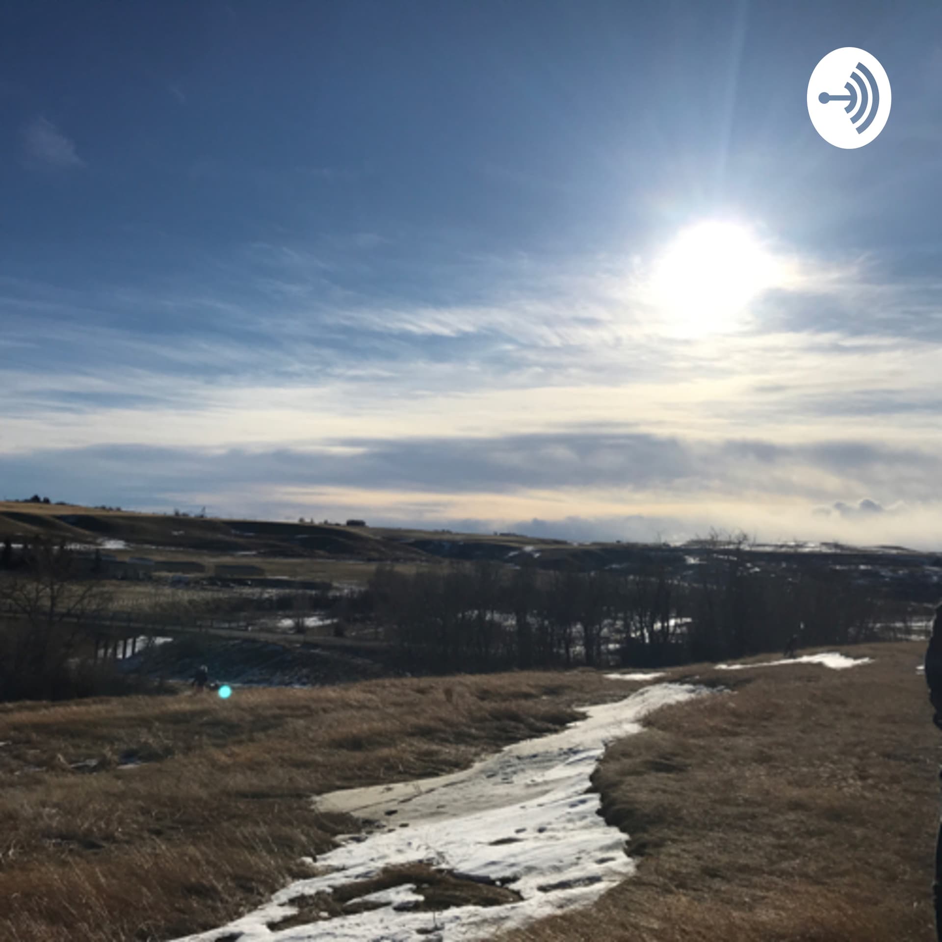 Word of the year - Podcasts