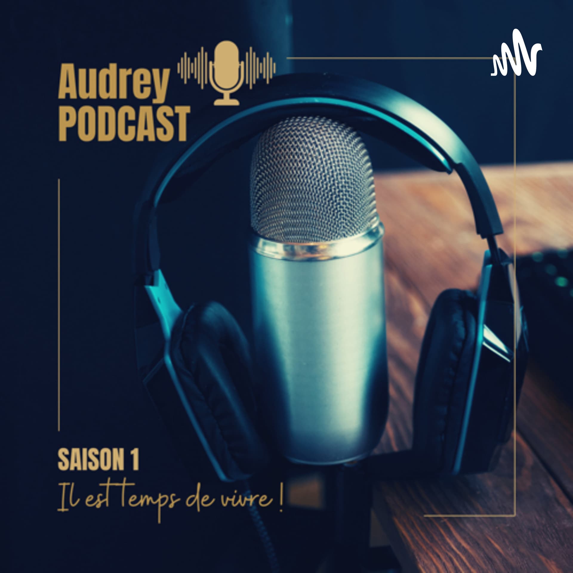Il est temps de vivre ! - Podcasts