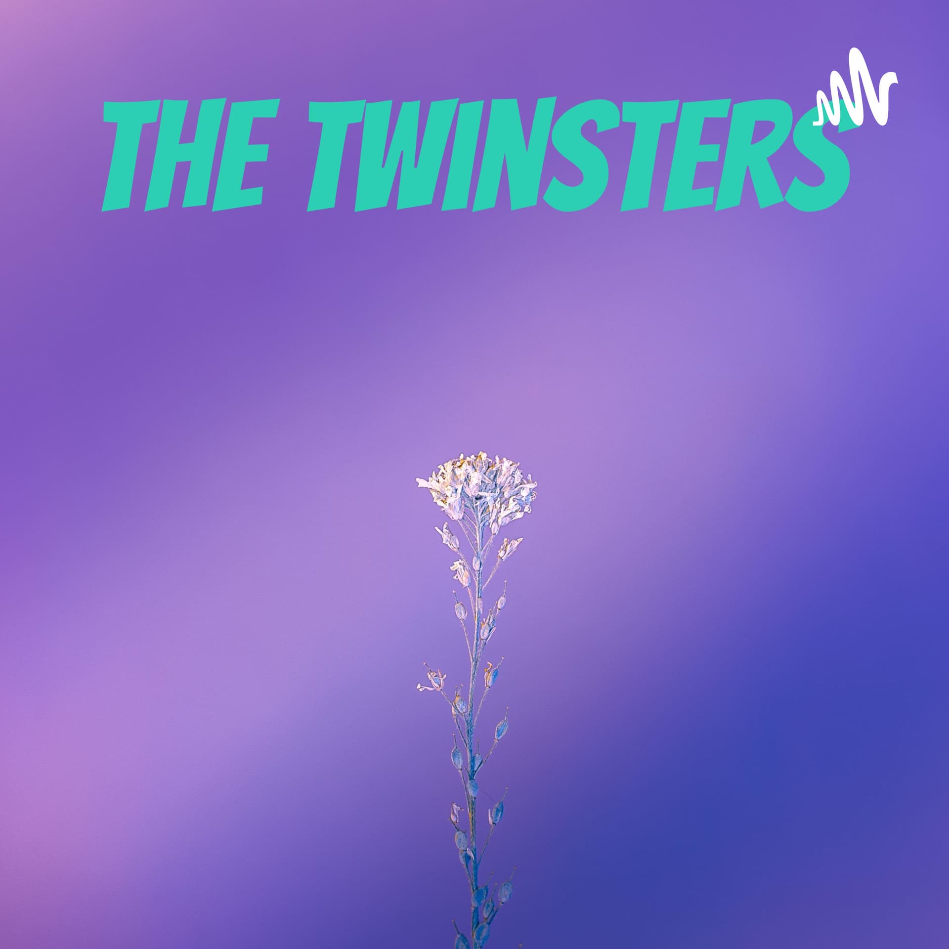 The Twinsters - Podcasts