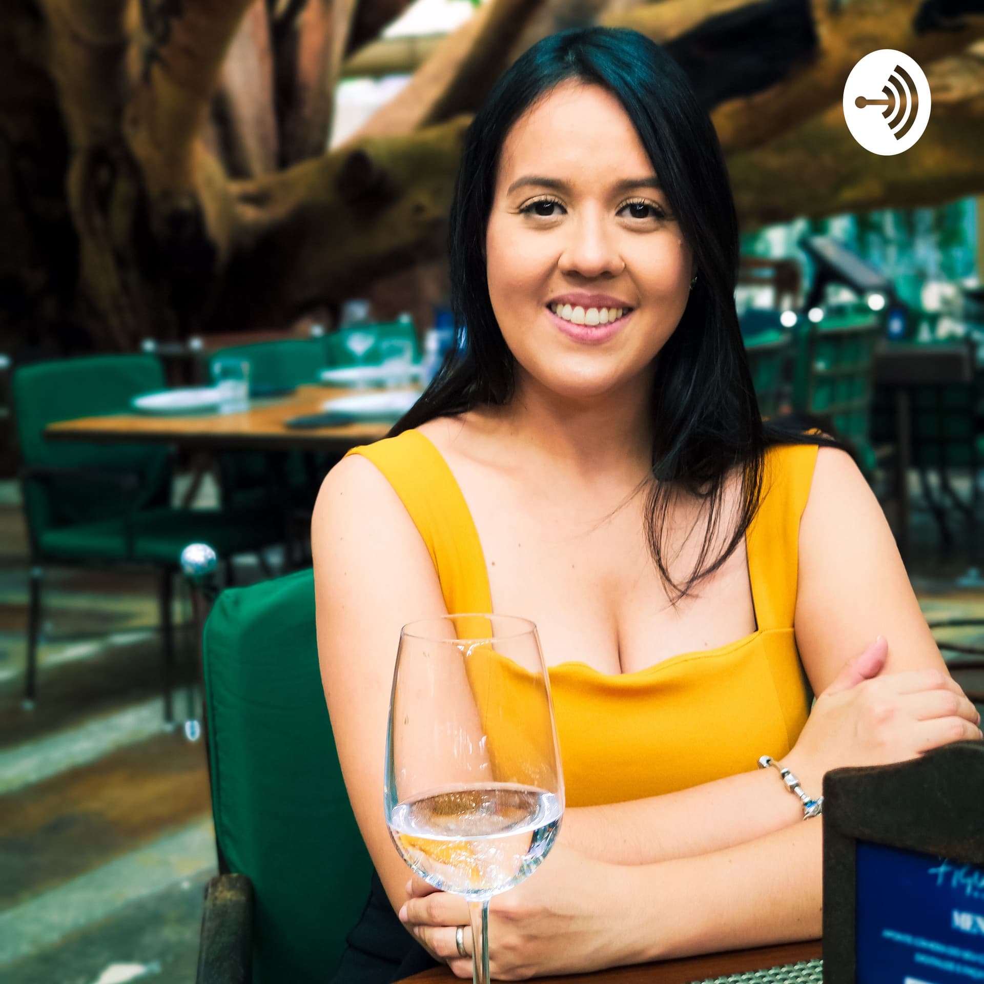 Finanças Com Cris Vilela 🤑💸 - Podcasts