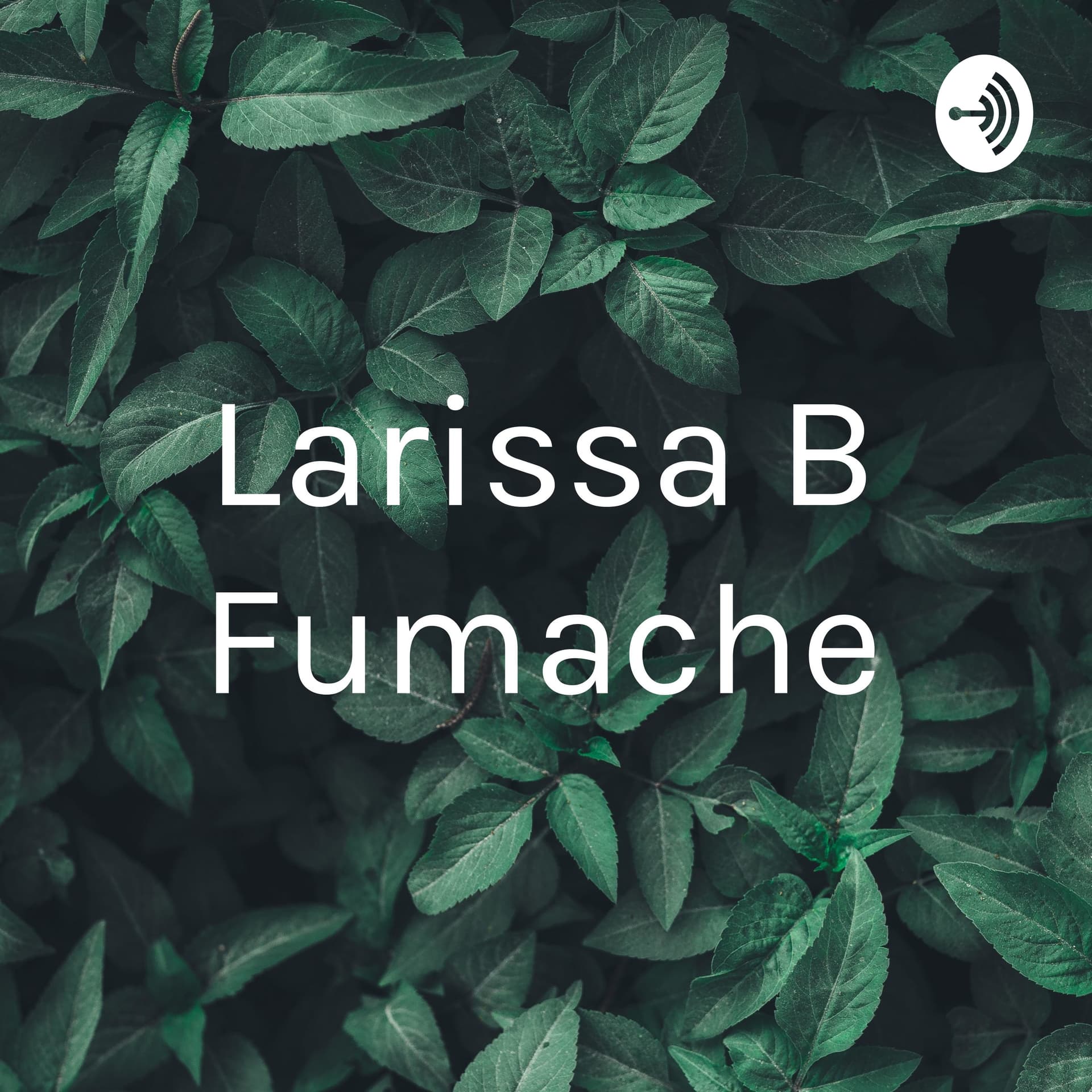 Larissa B Fumache