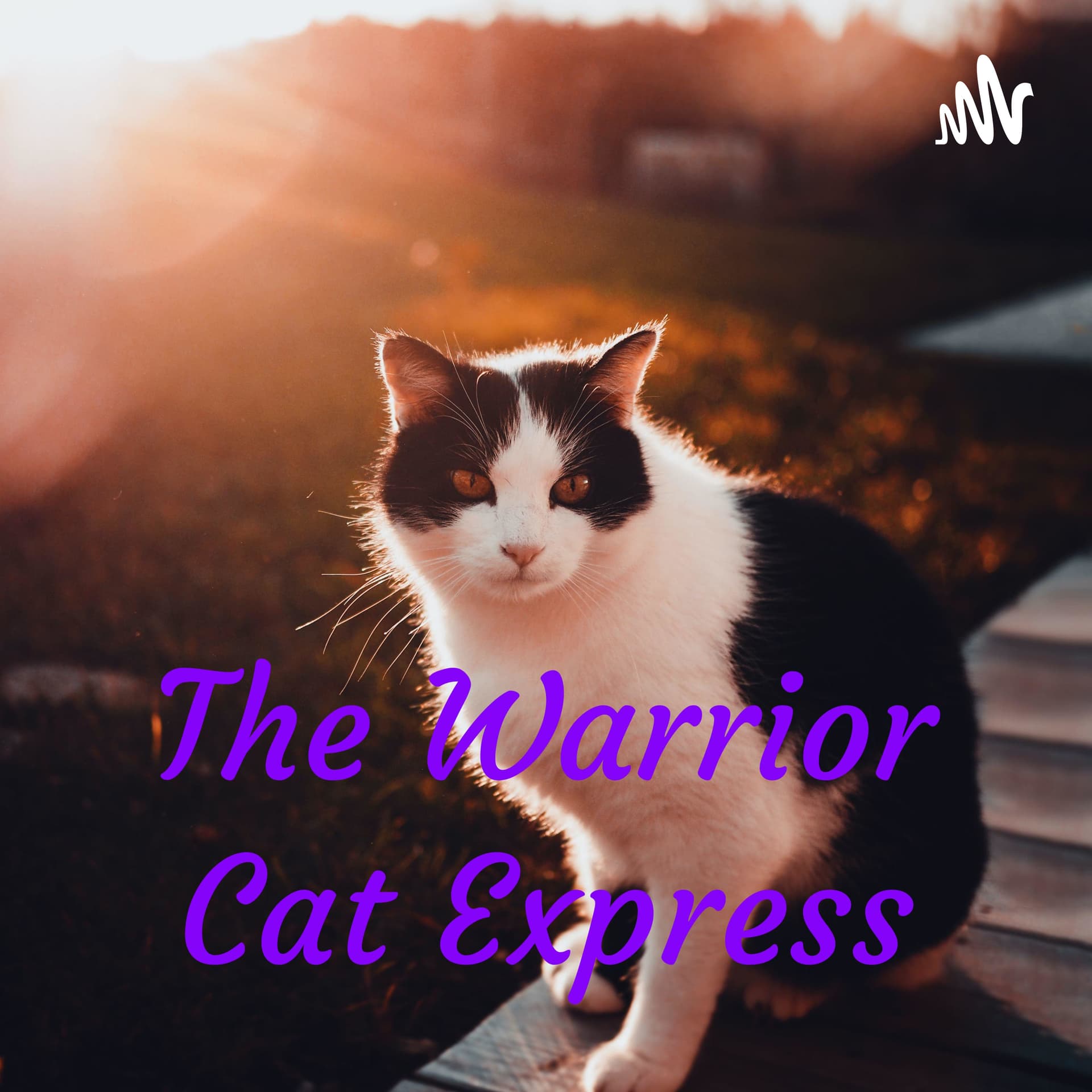 The Warrior Cat Express - Podcasts