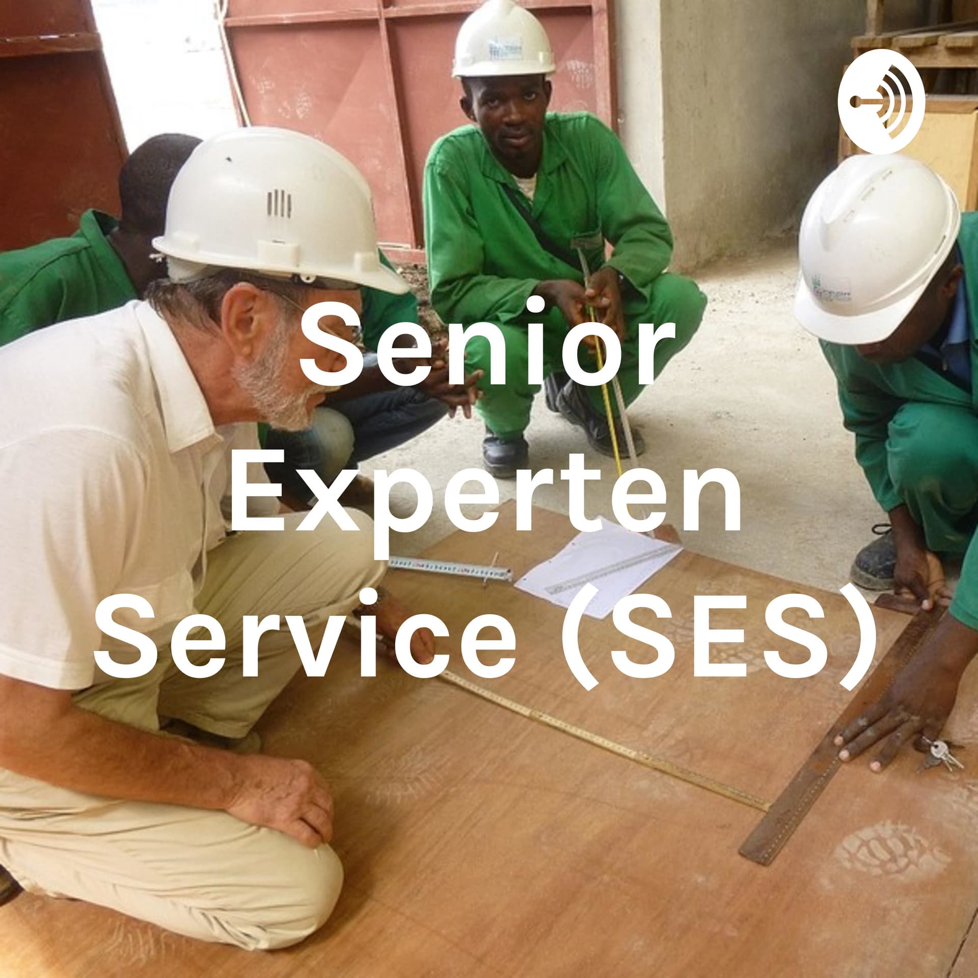 Senior Experten Service (SES)