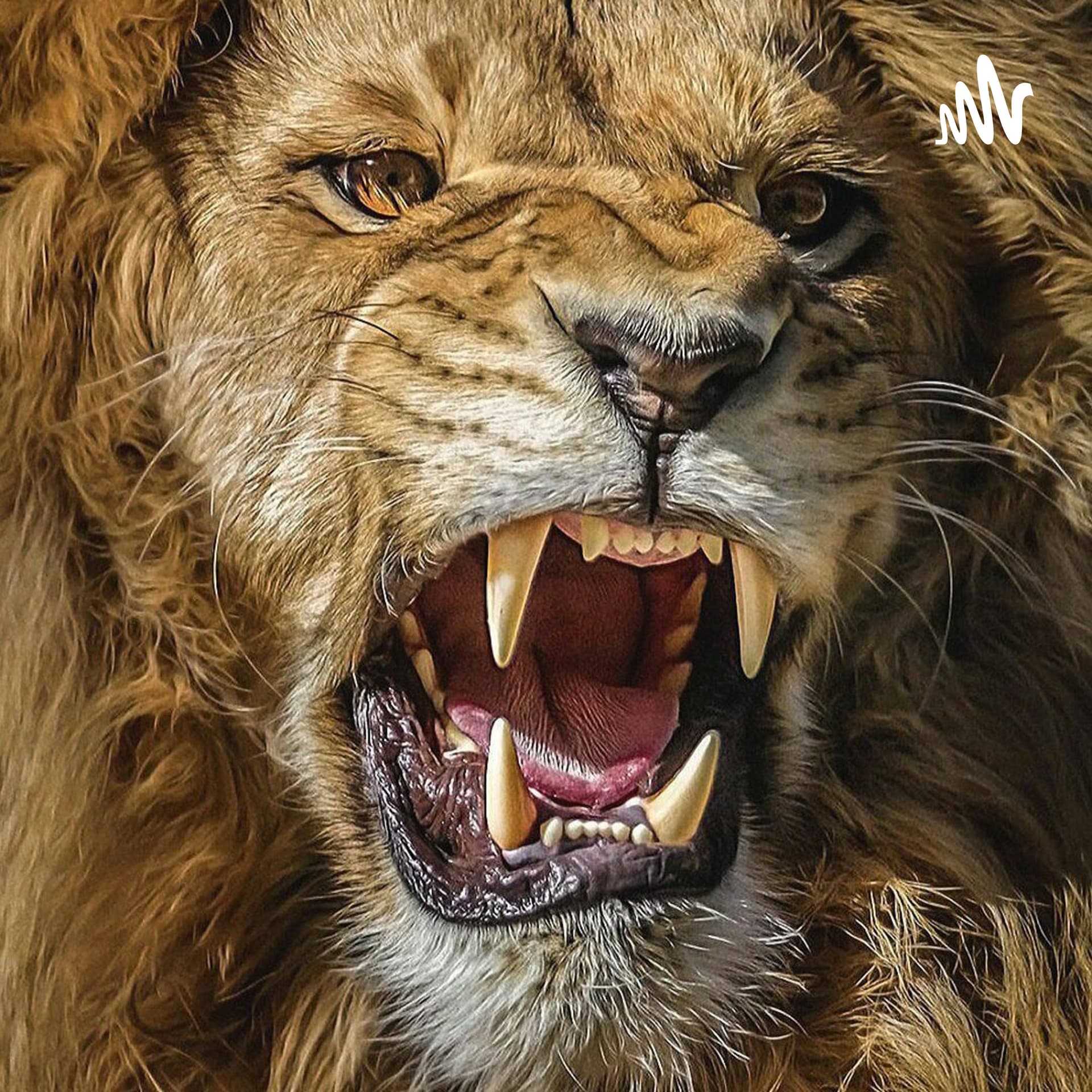 Los Cuentos Del León - Podcasts
