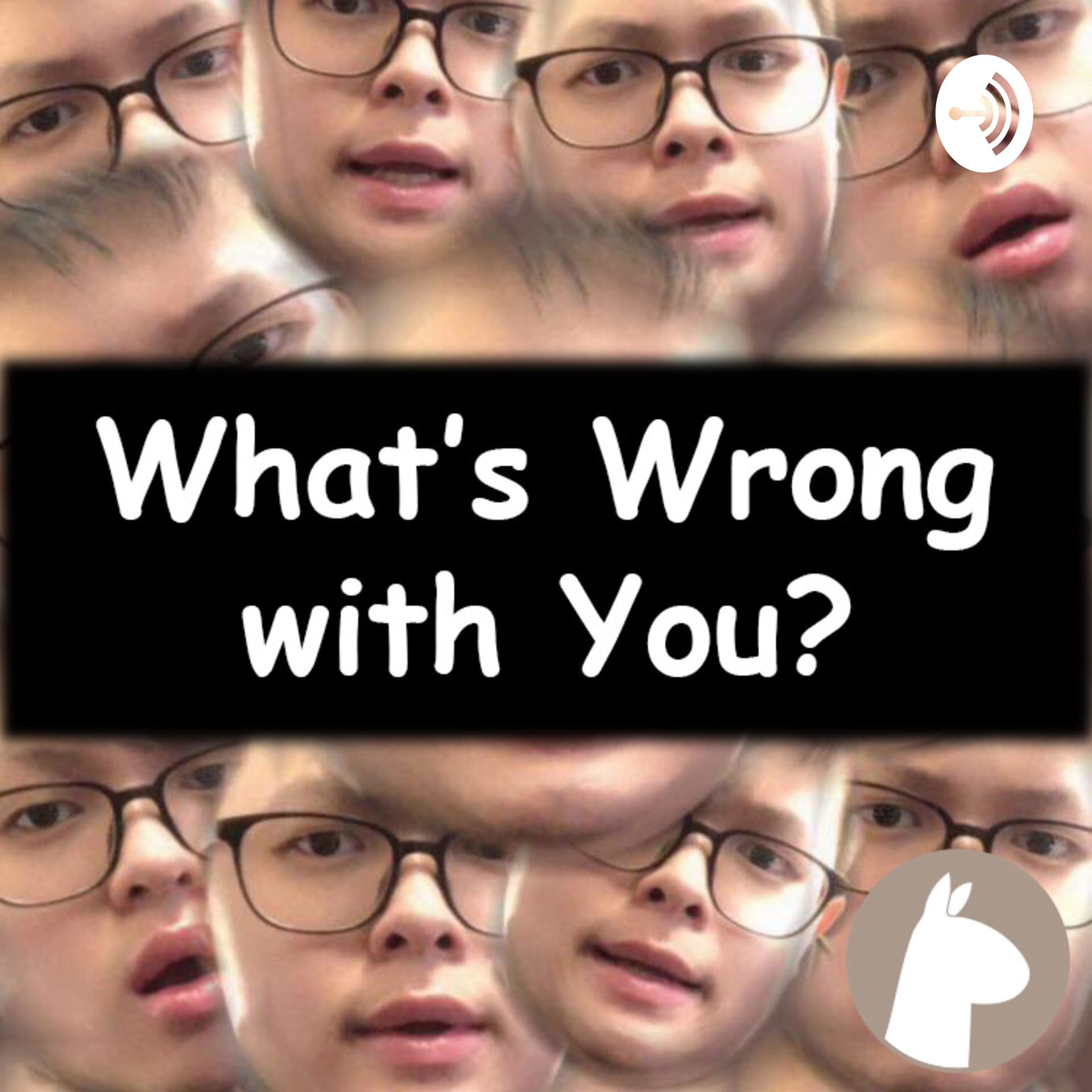 What's Wrong with You? by Alpaca Apparel - Podcasts