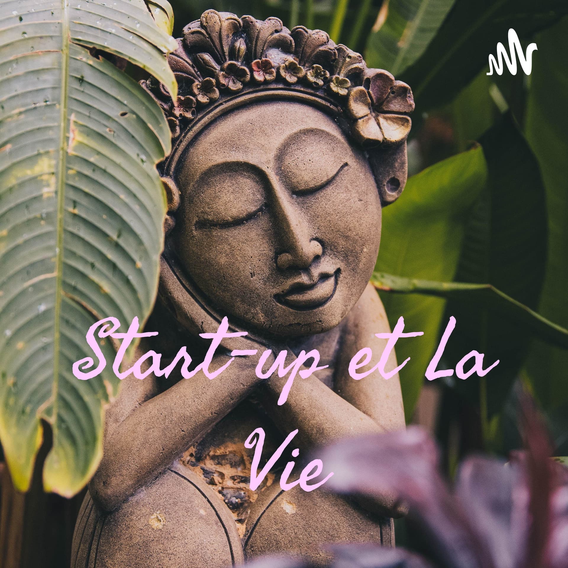 La Vie et Start Up - Podcasts