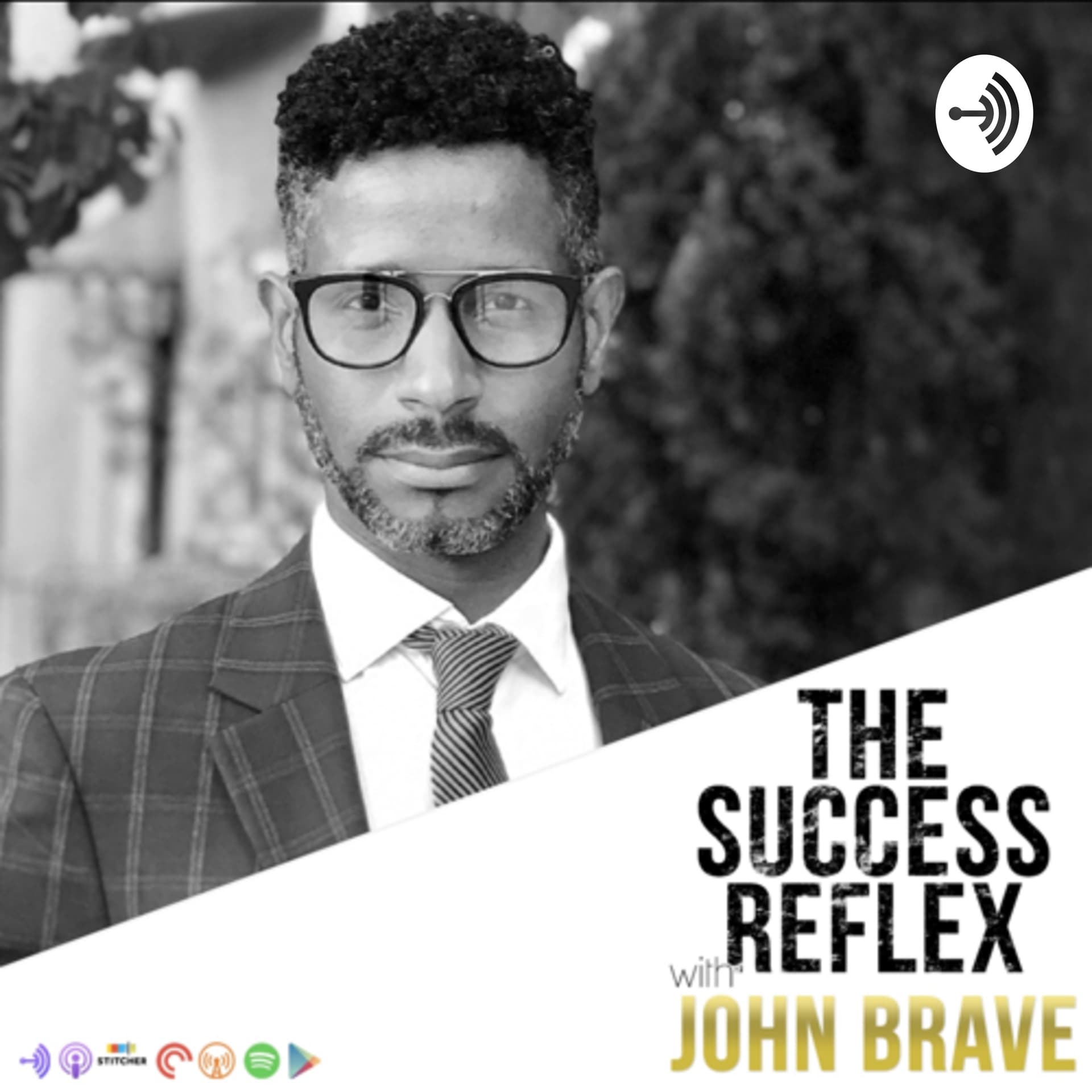 The Success Reflex - Podcastler