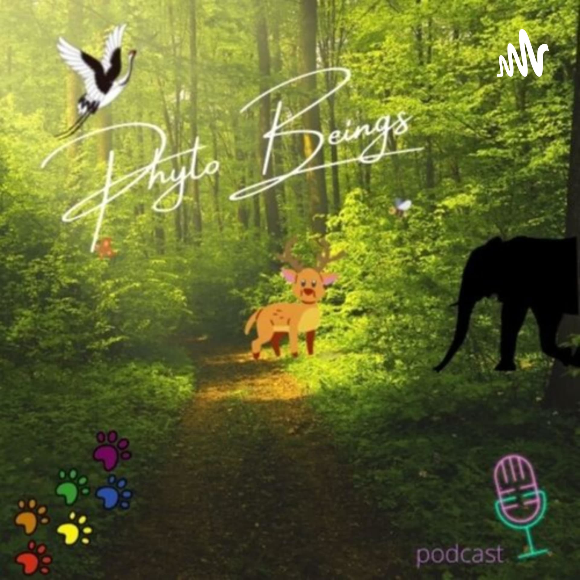 Phyto Beings - Podcasts