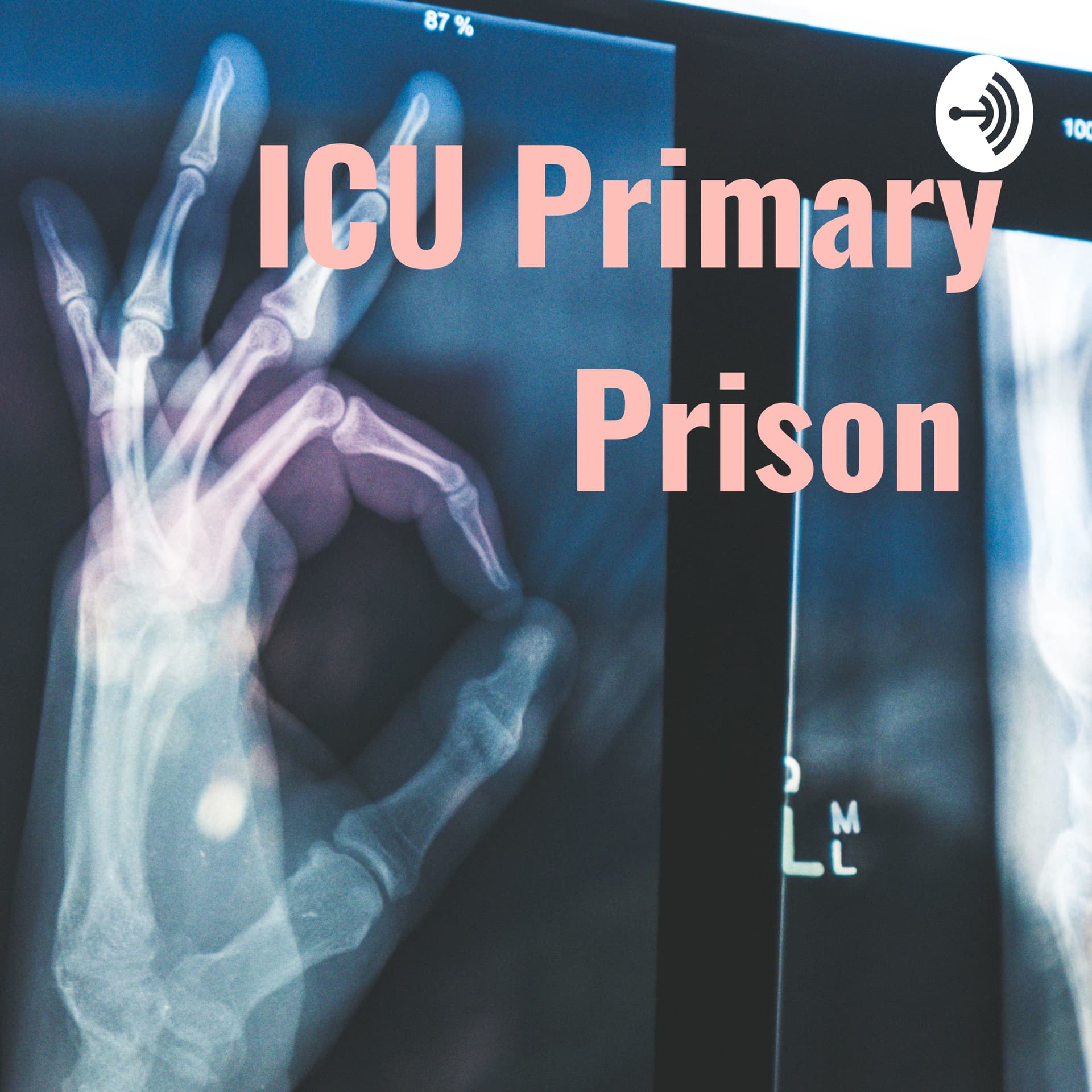 ICU Primary Prison ☠️ - Podcasts