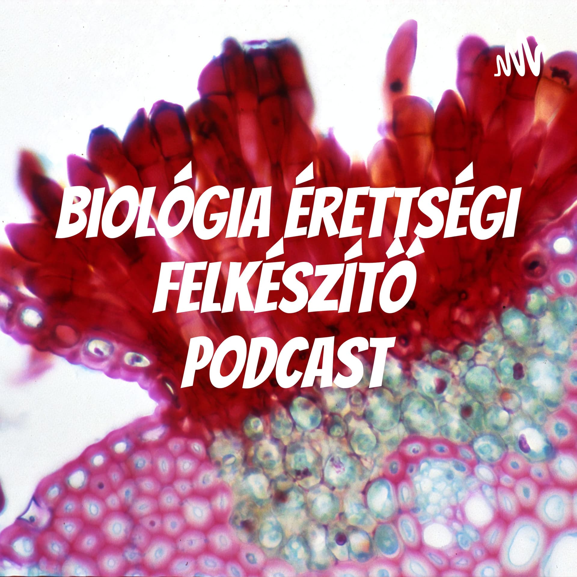 Biológia érettségi felkészítő podcast - Podcast