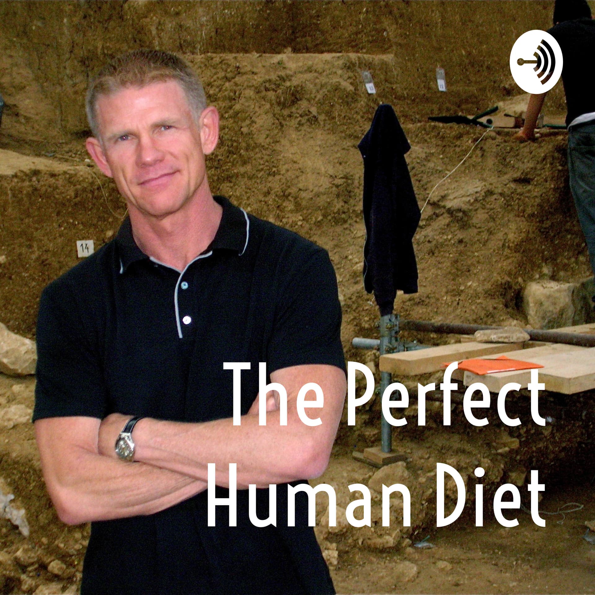 The Perfect Human Diet - Podcasts