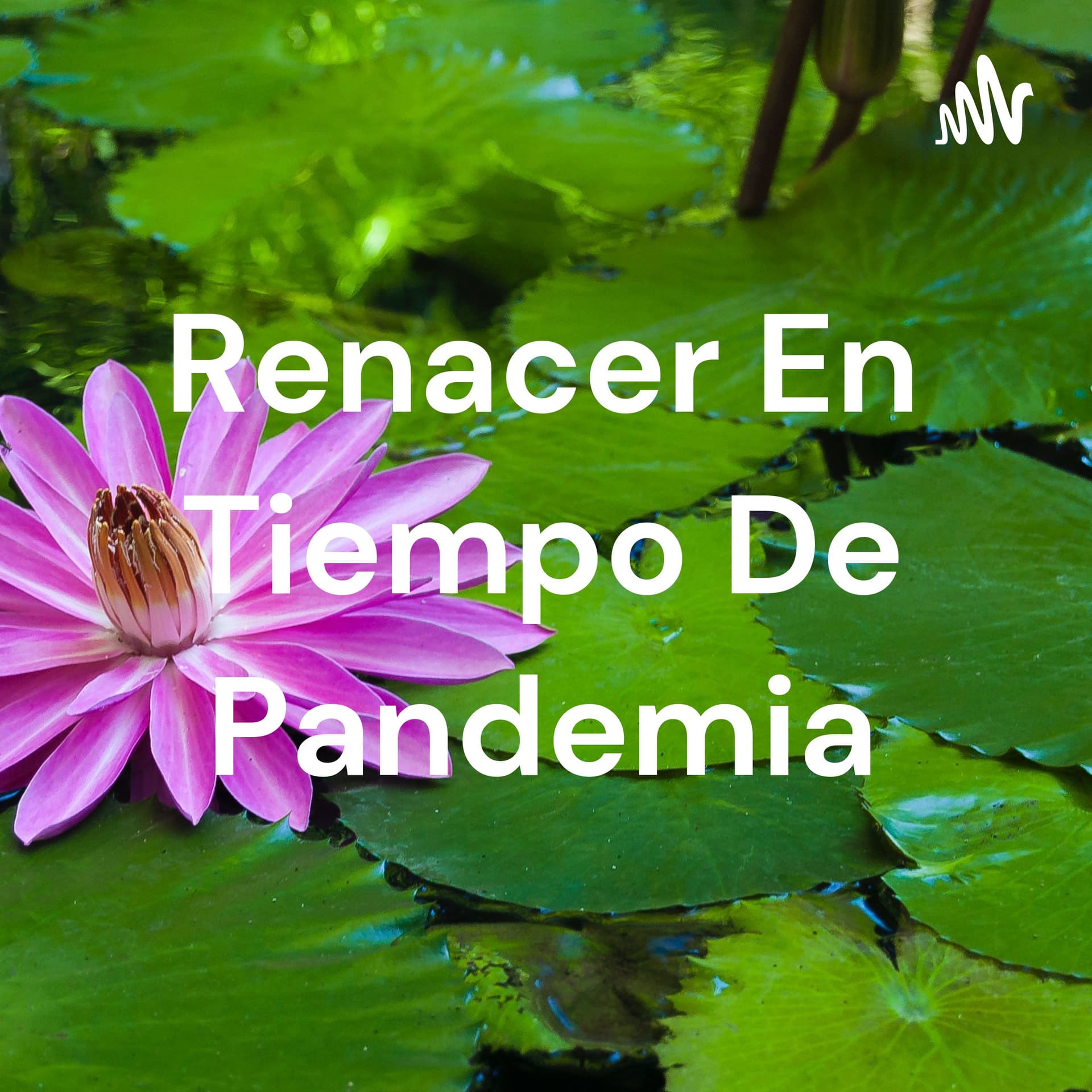 Renacer En Tiempo De Pandemia. Judith Correa - Podcasts