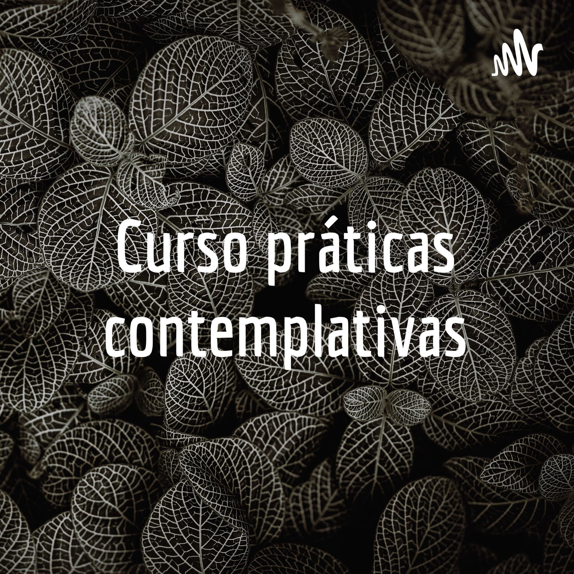 Curso práticas contemplativas 8 semanas