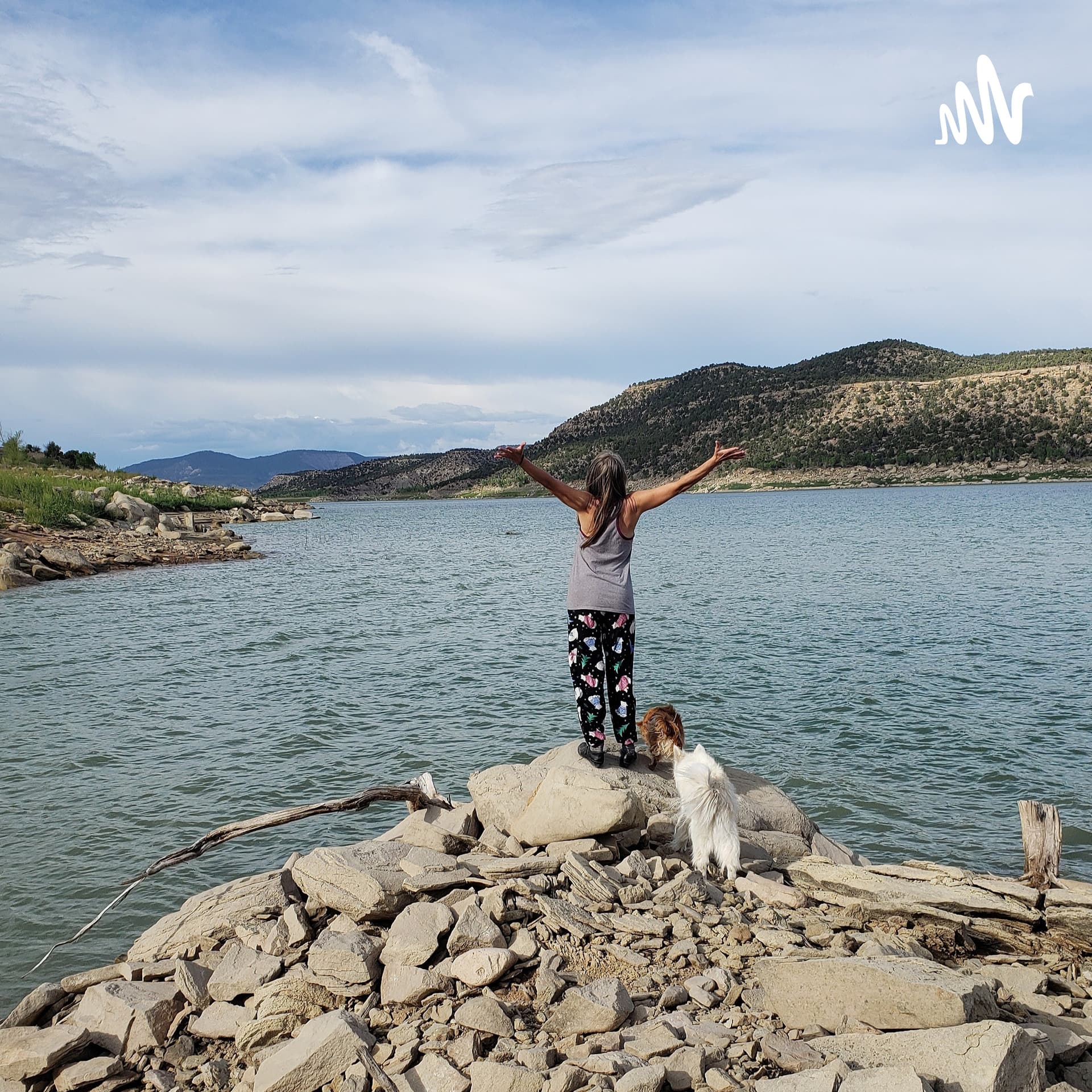 Yogin's Love Of Life Expressions - Podcasts