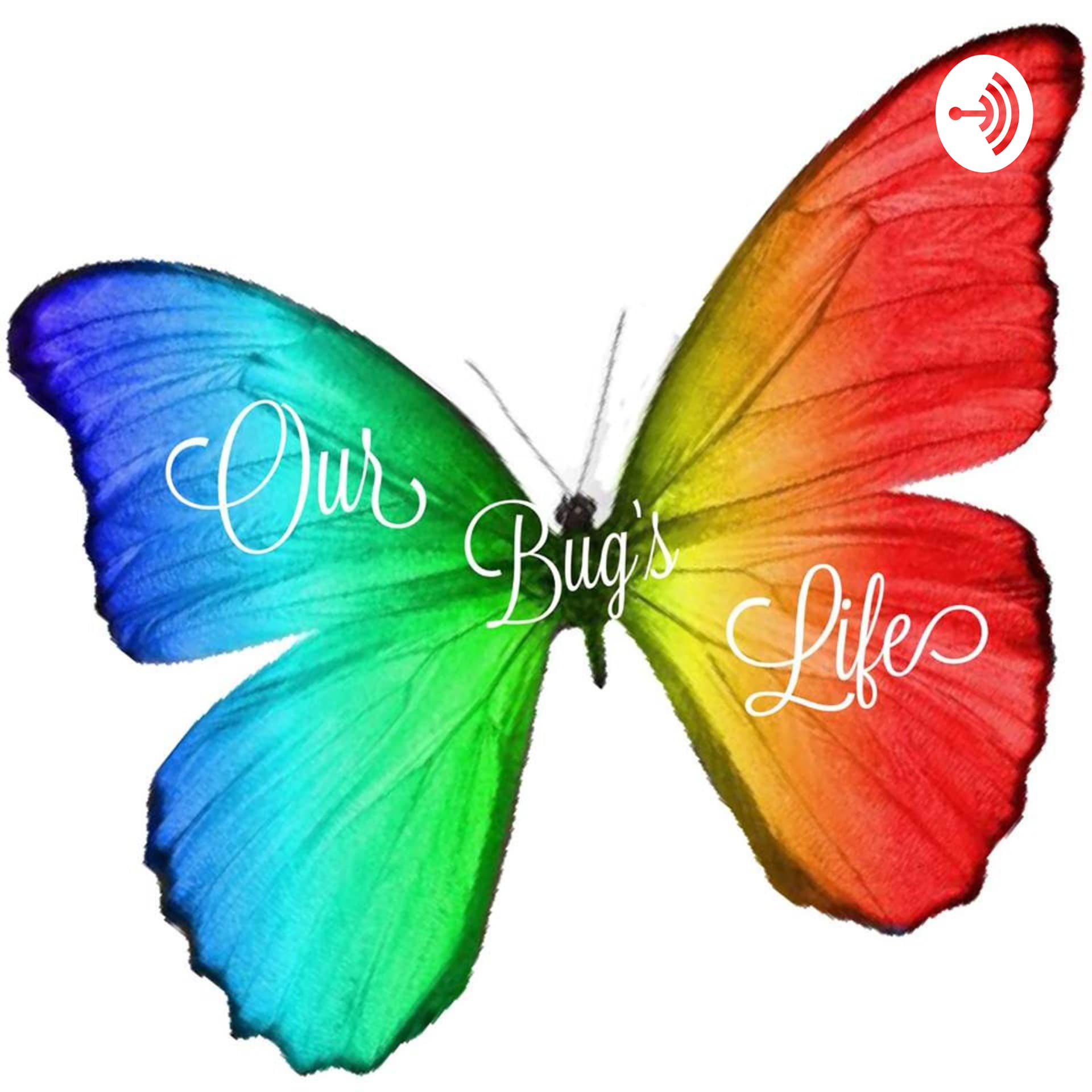 Our Bug's Life - Podcasts