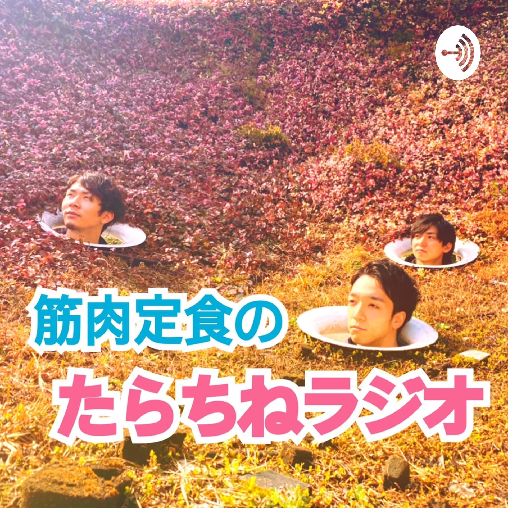 筋肉定食のたらちねラジオ - ポッドキャスト