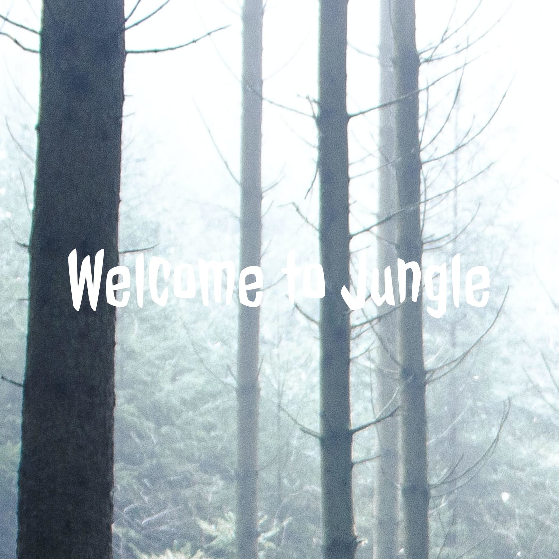 Welcome to Jungle - Podcasts
