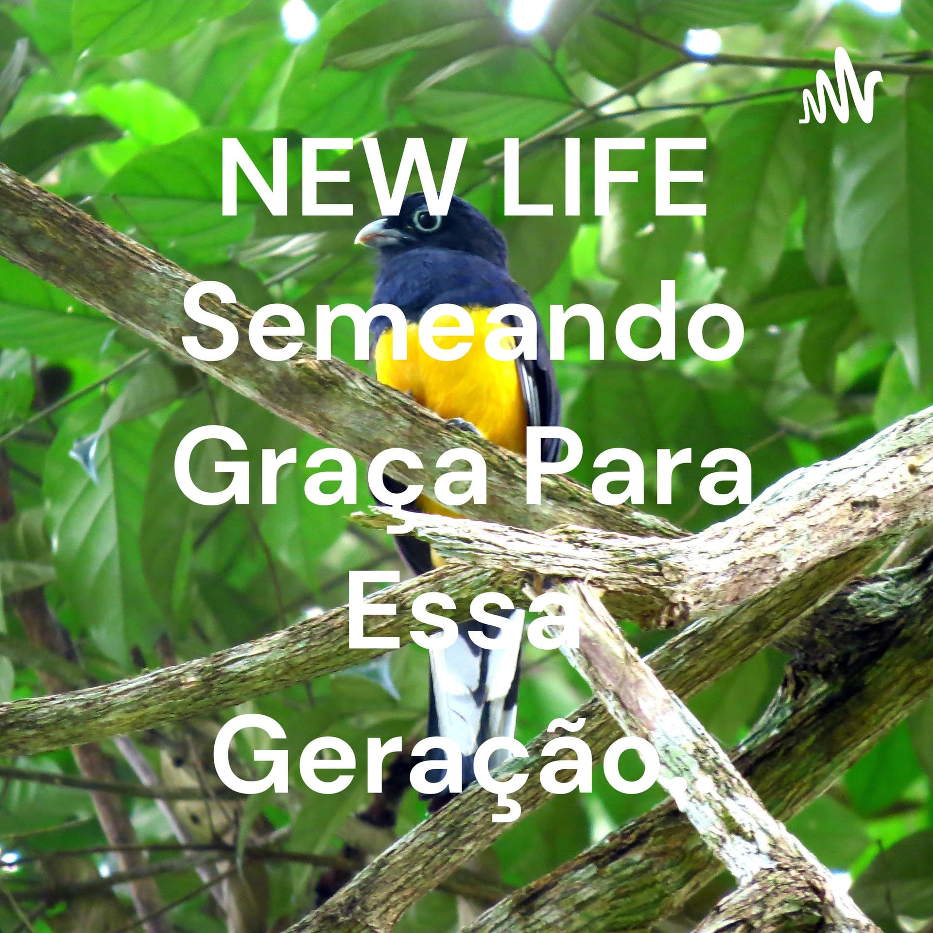 NEW LIFE Semeando Graça Para Essa Geração.. - Podcasts
