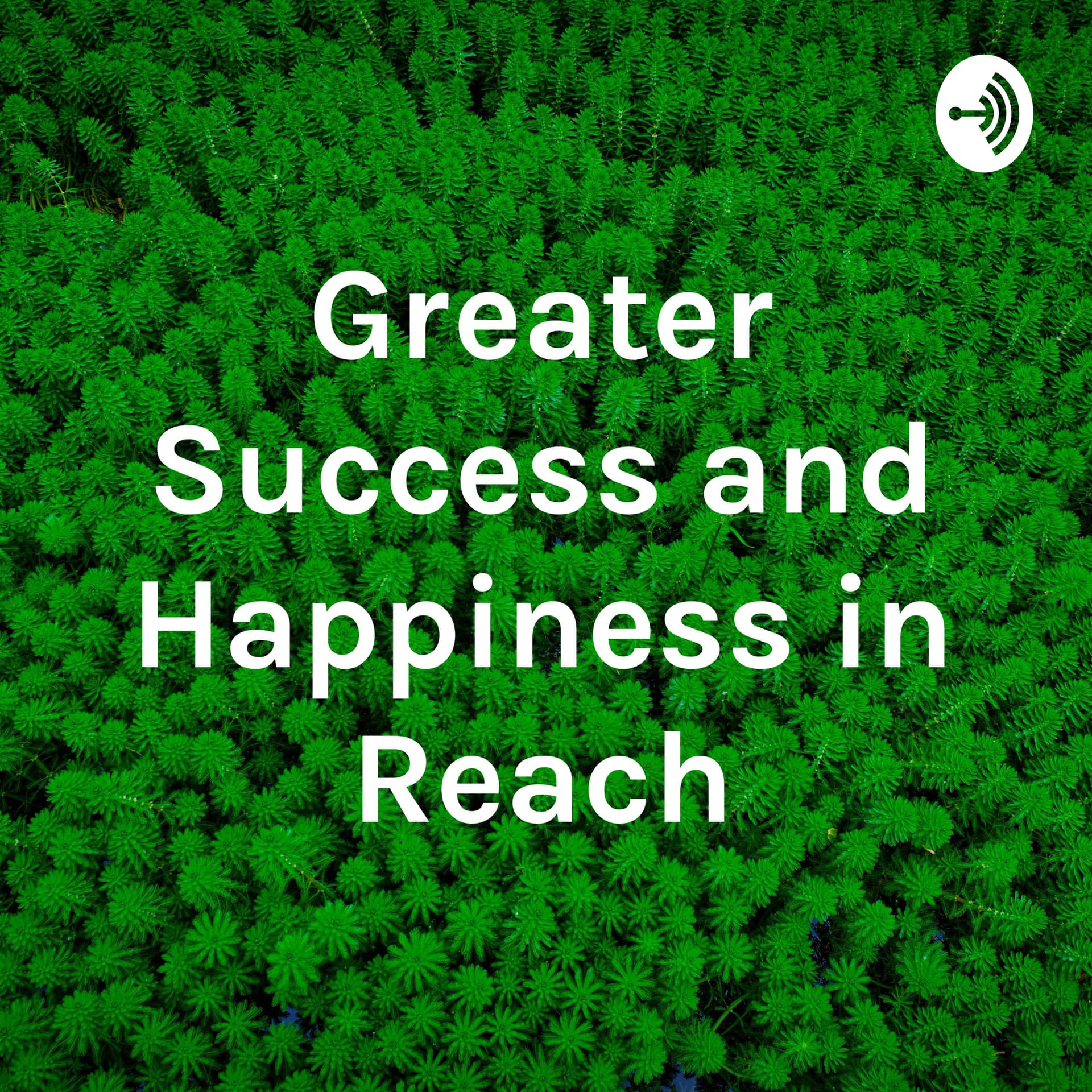 Lan Speaks - Podcasts