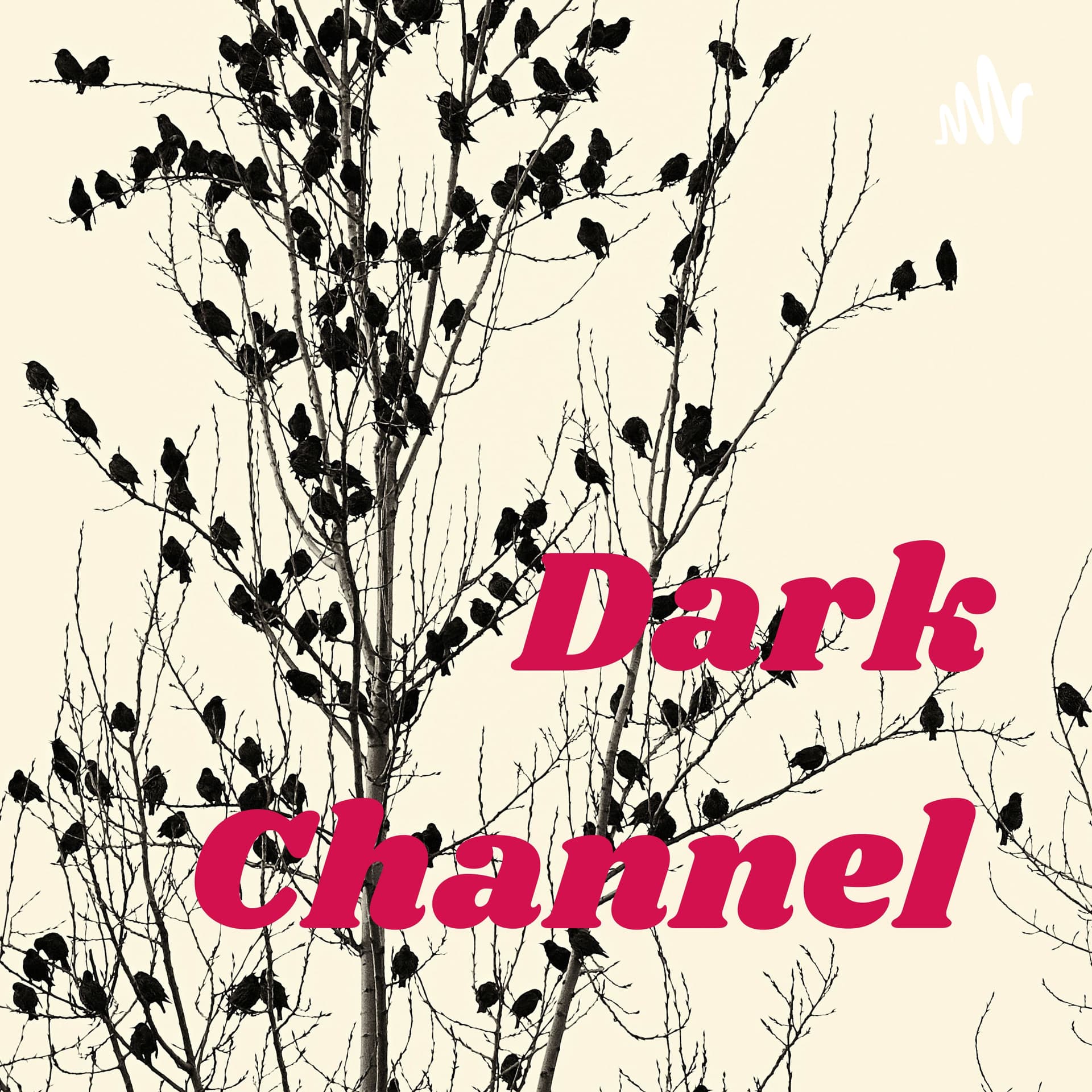 Dark Channel