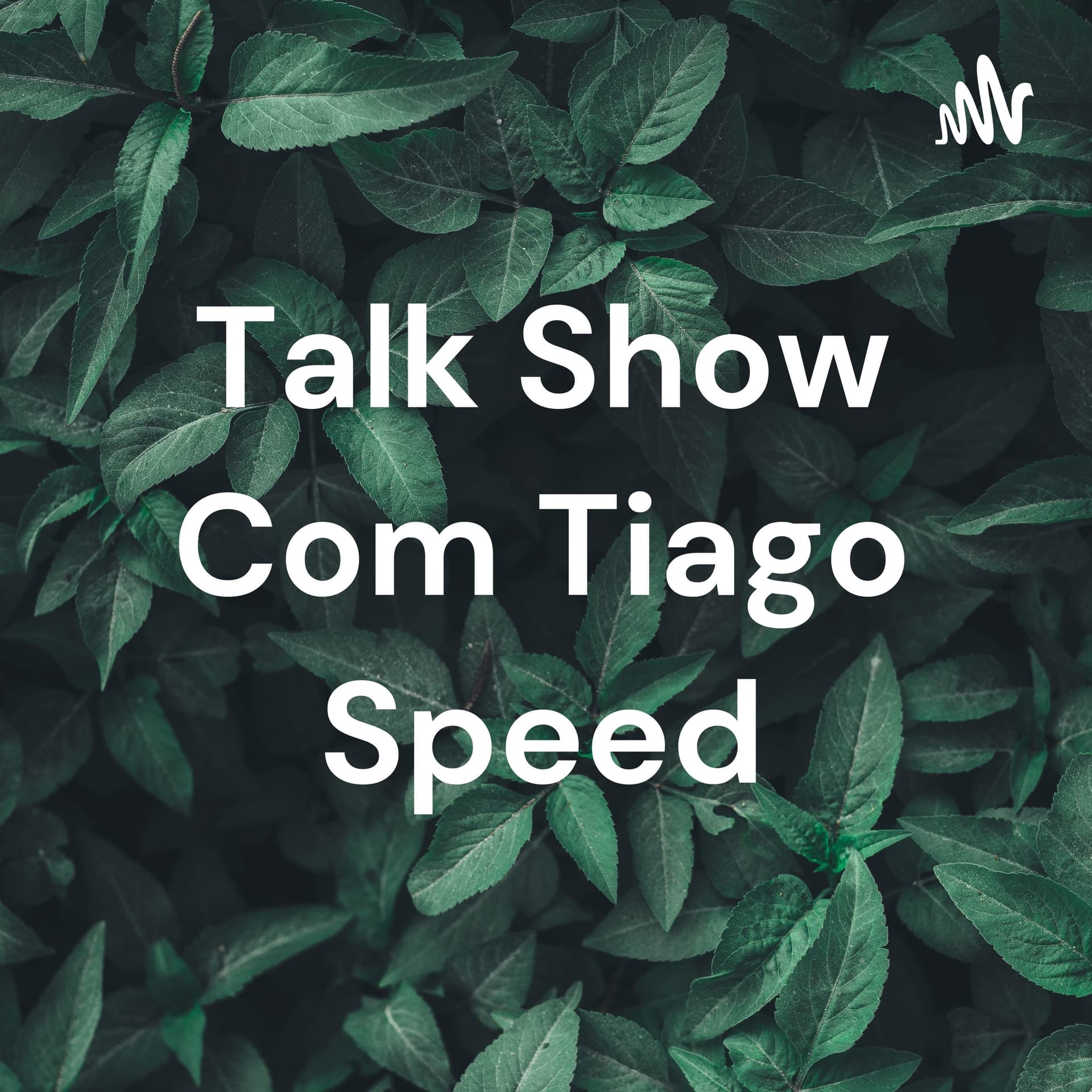 Talk Show Com Tiago Speed - Podcasts