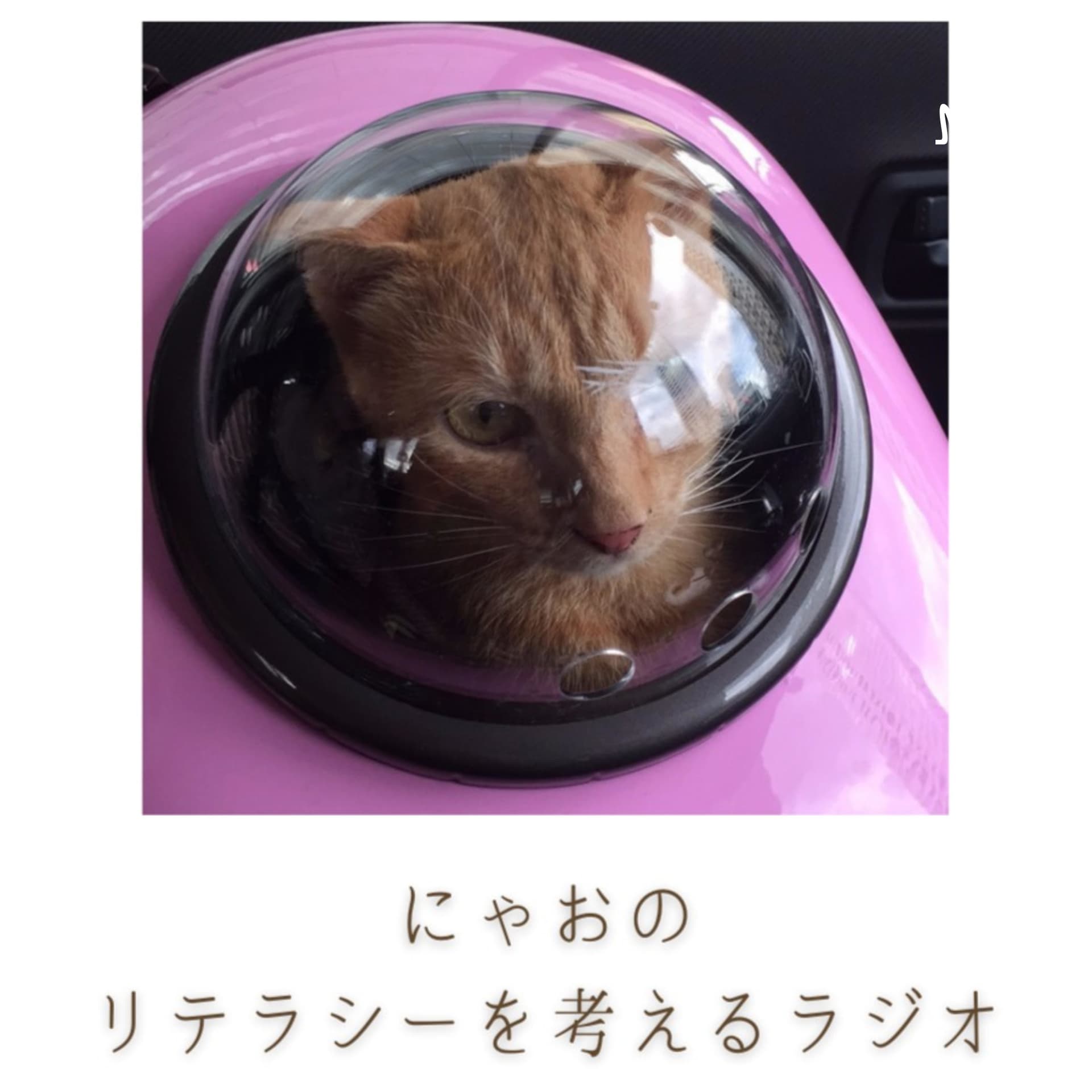 にゃおのリテラシーを考えるラジオ - ポッドキャスト