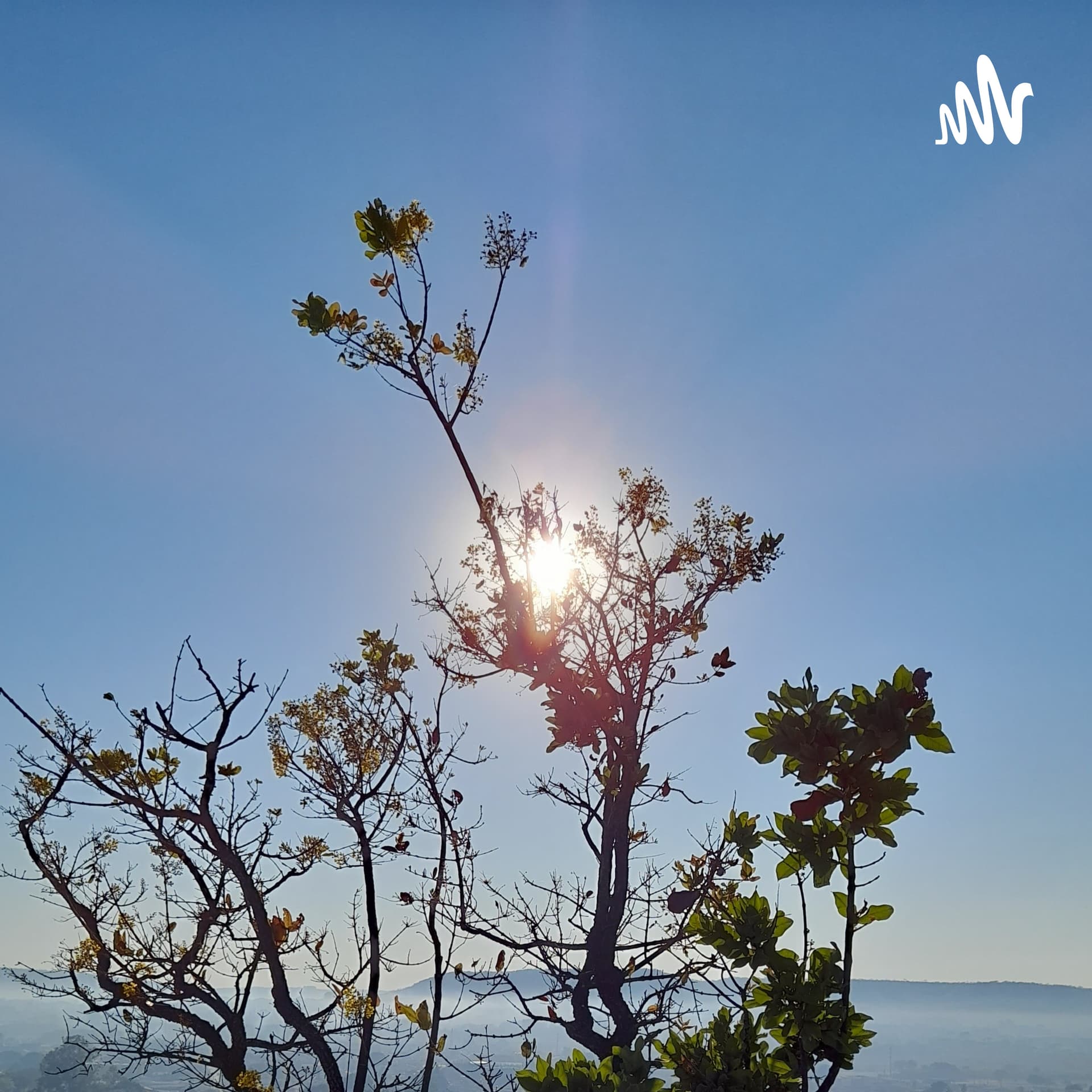 Meditação Guiada com a Sté - Podcasts