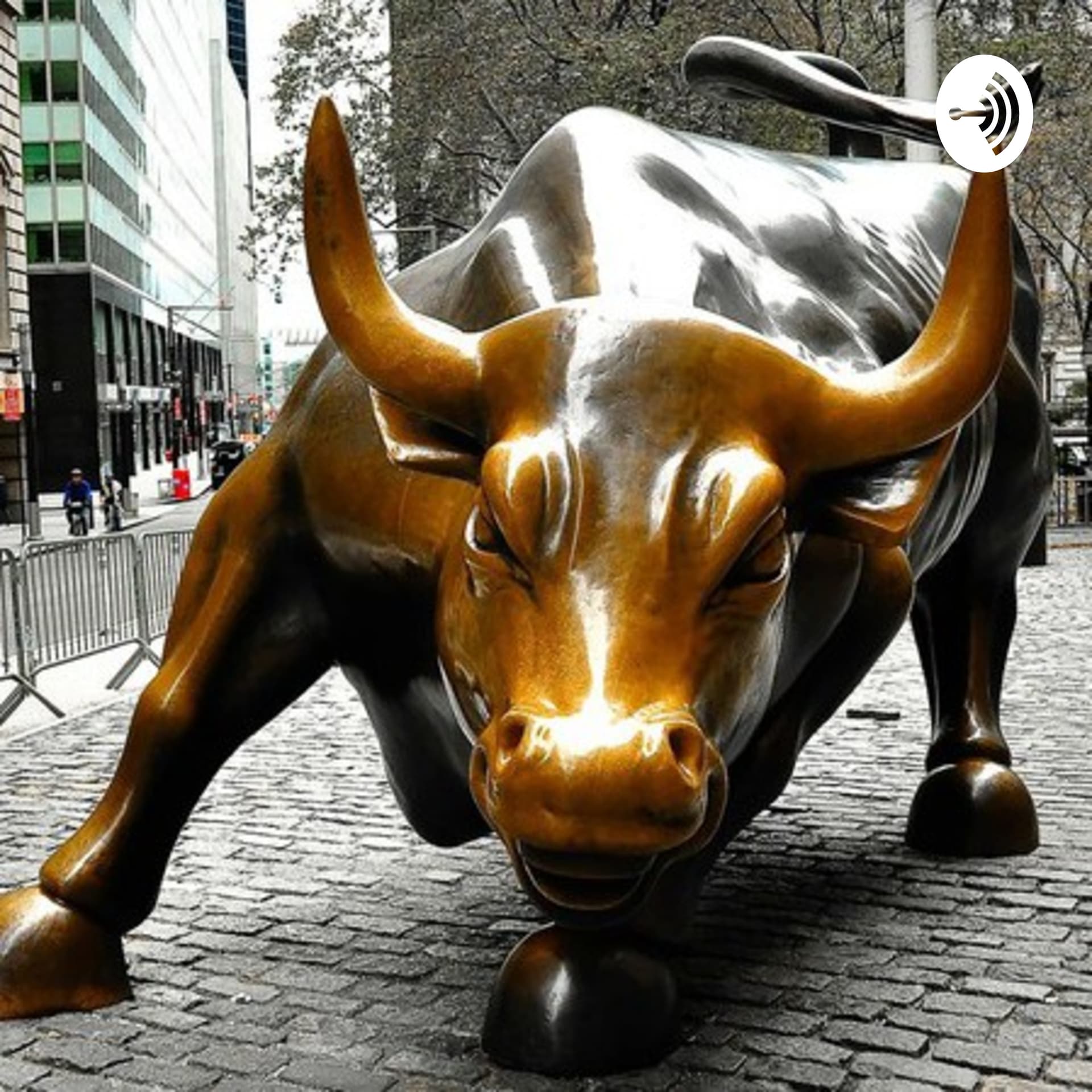 Stock market basics with vyankatesh - Podcasts