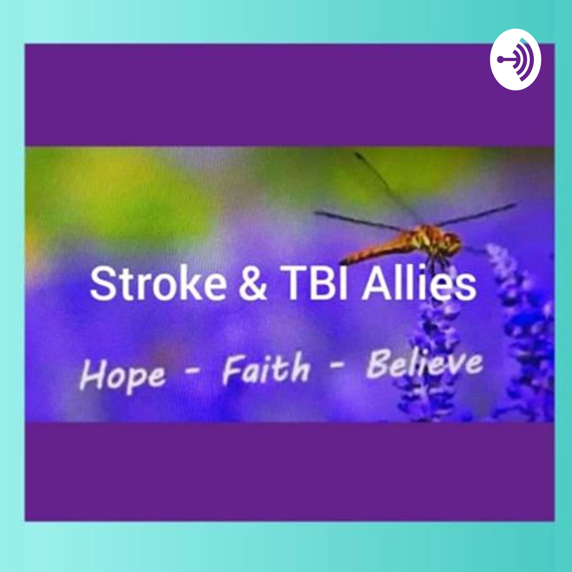 Stroke and TBI Allies - Podcasts