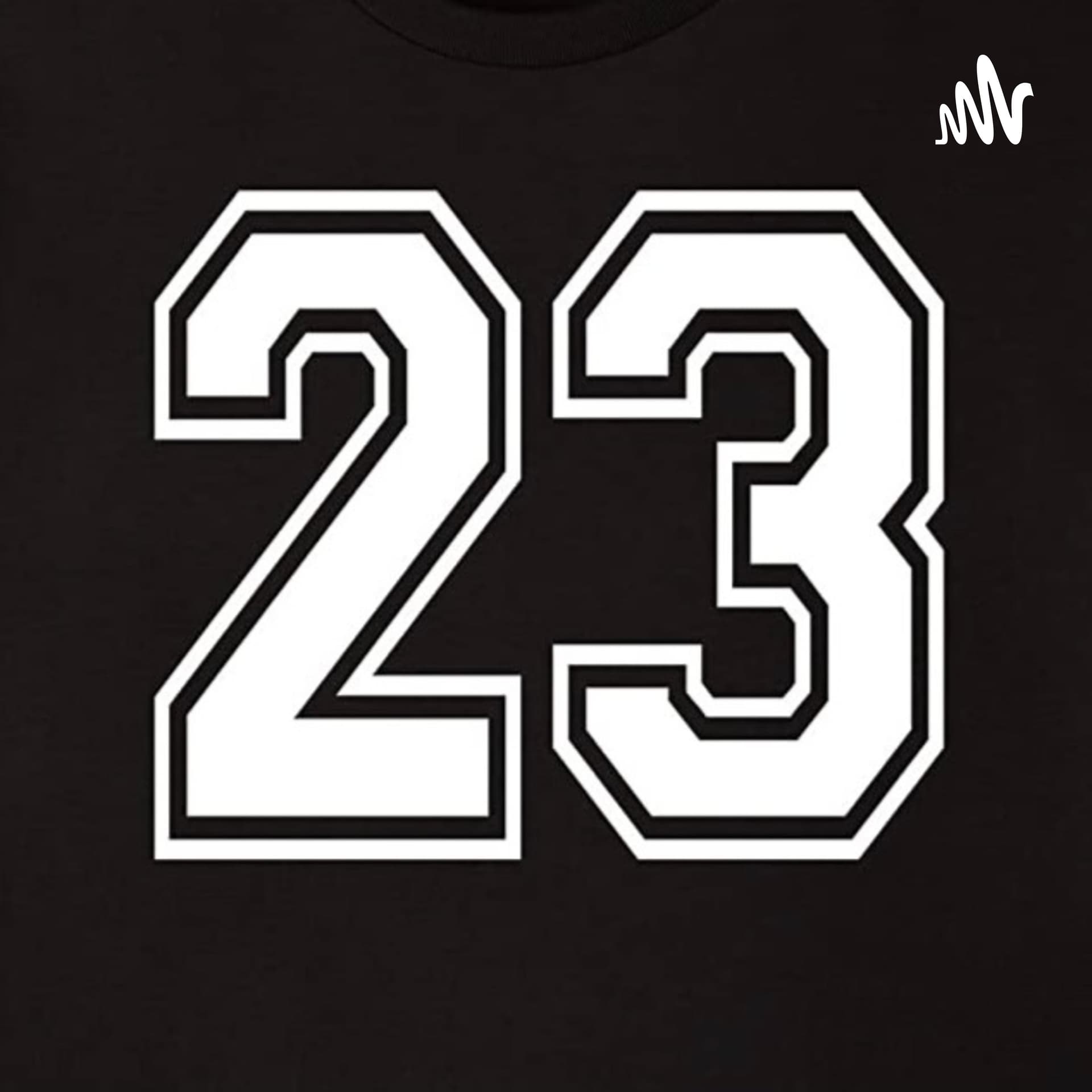 23 PREGUNTAS CON RAMON RAYA - Podcasts