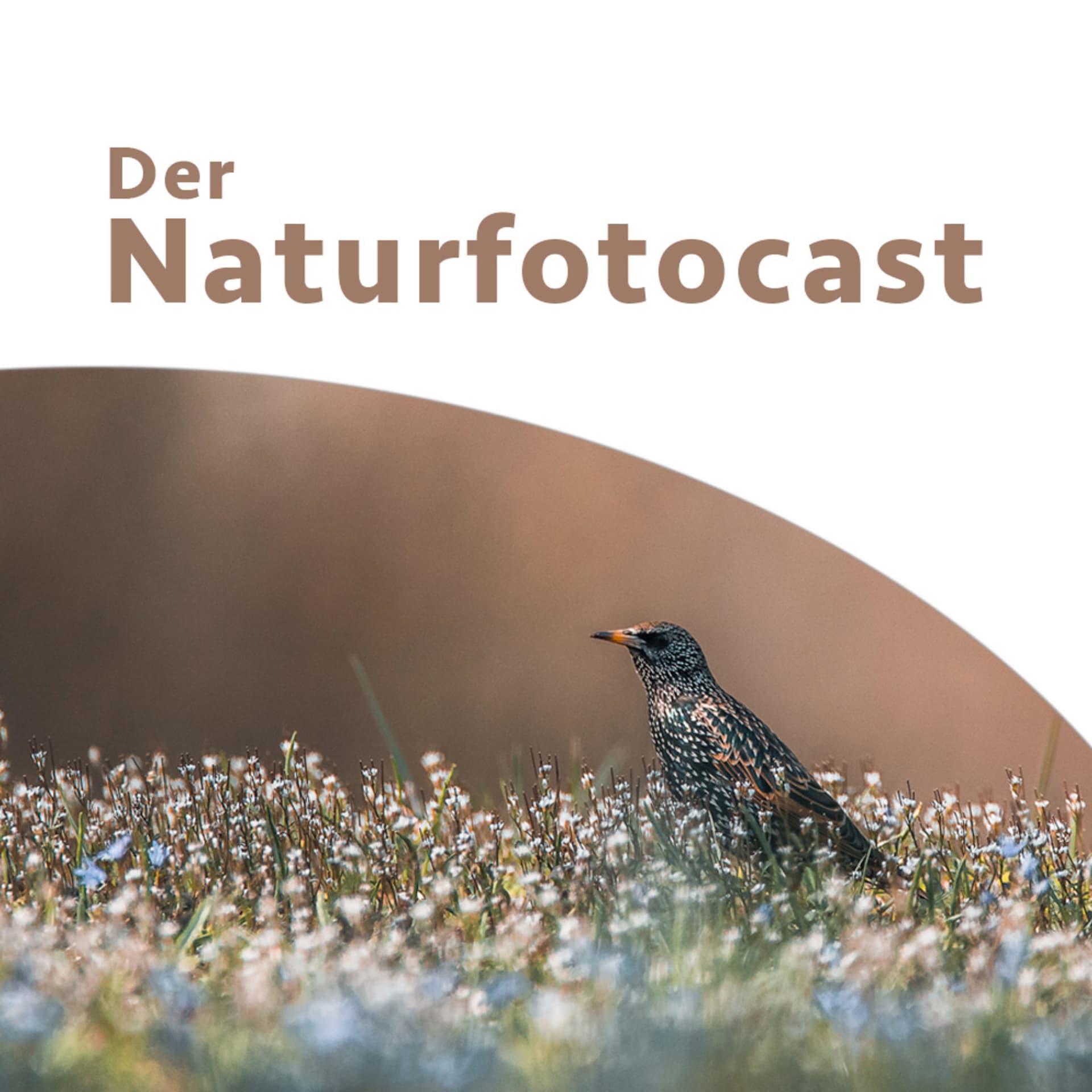 Der Naturfotocast - Podcast für Naturfotografie - Podcast